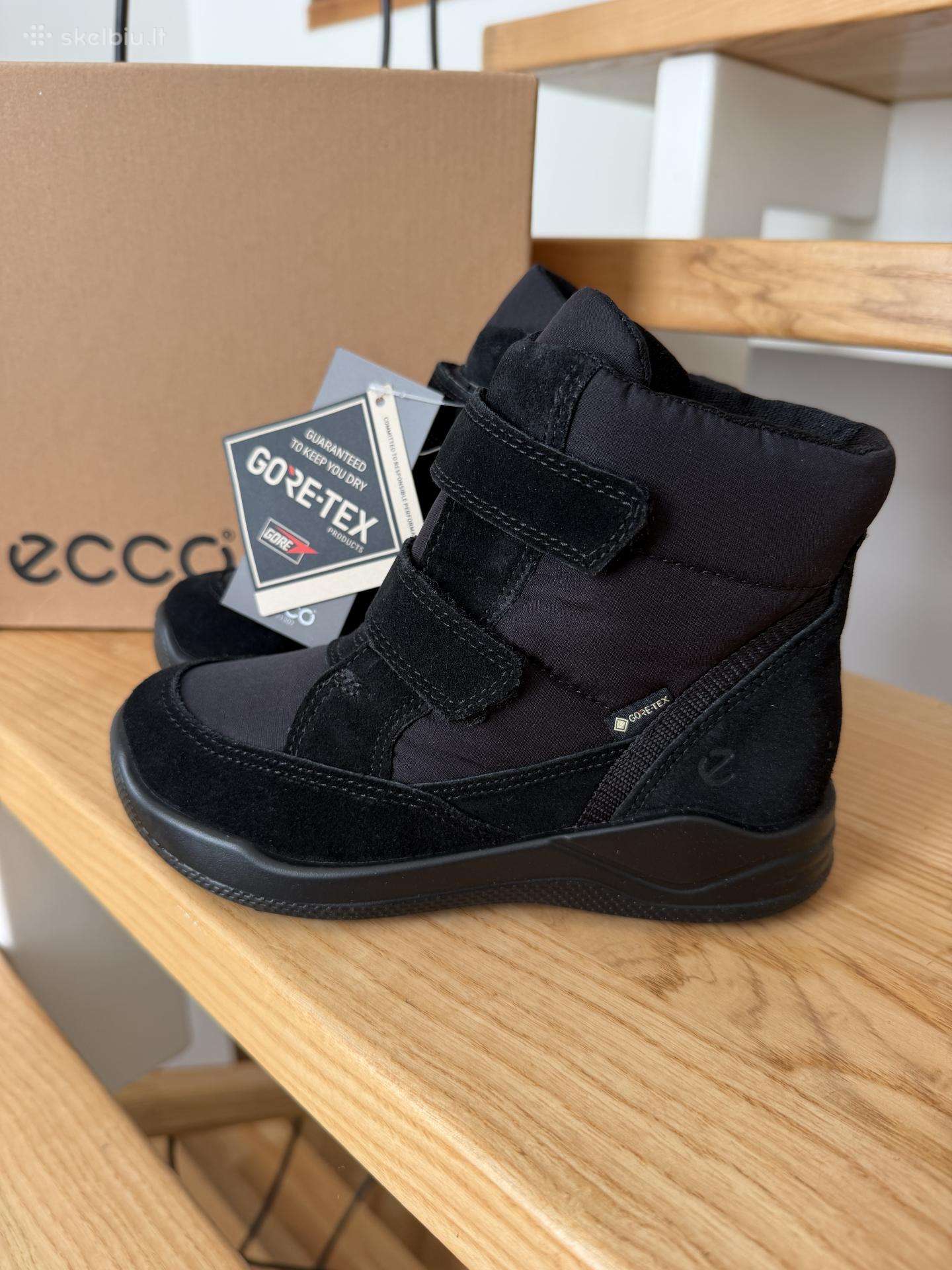 Ecco aulinukai