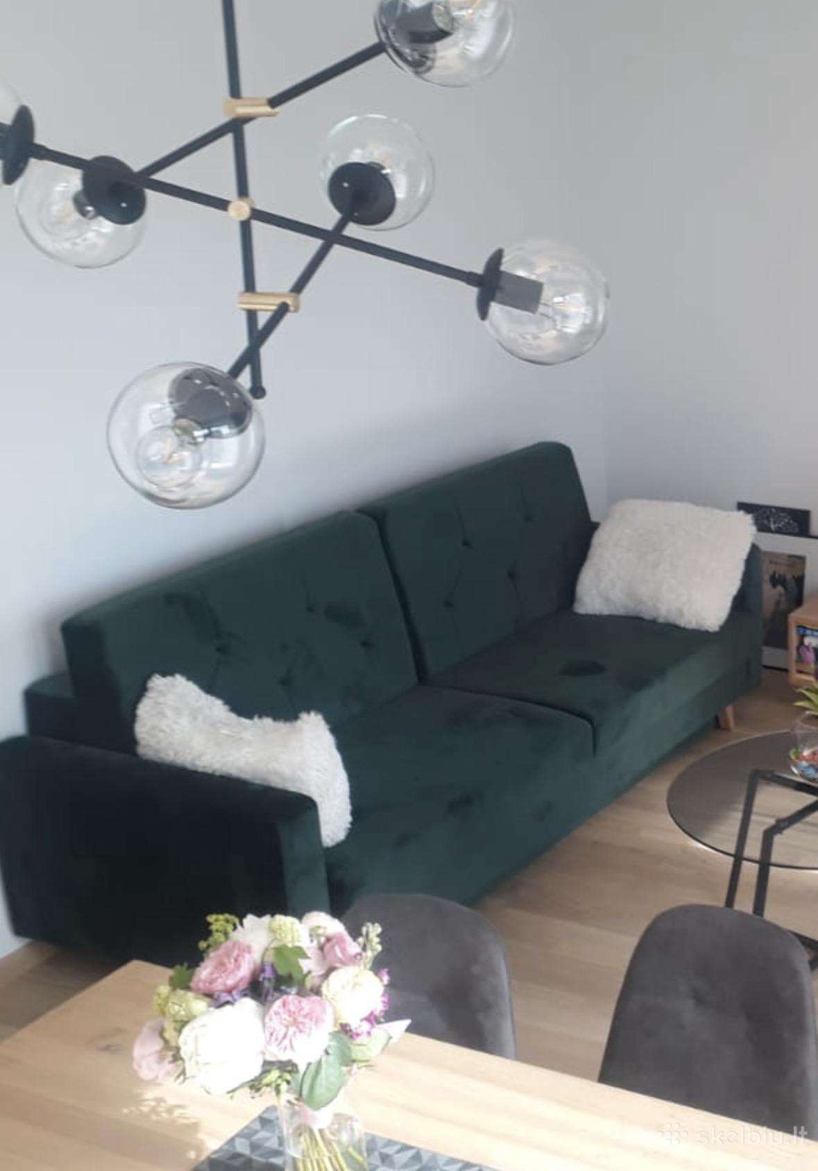 Žalia sofa lova