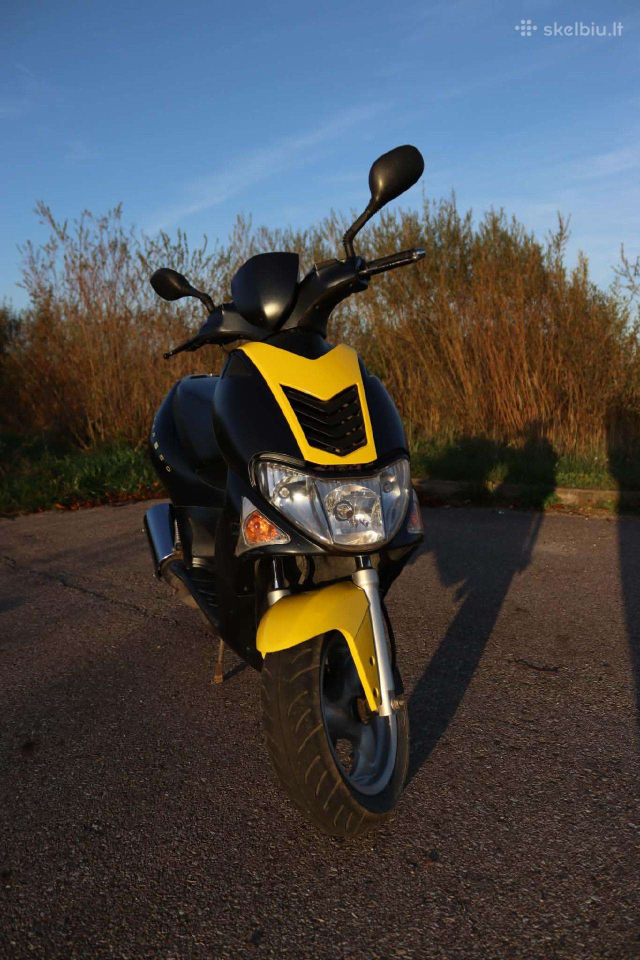 Motoroleris