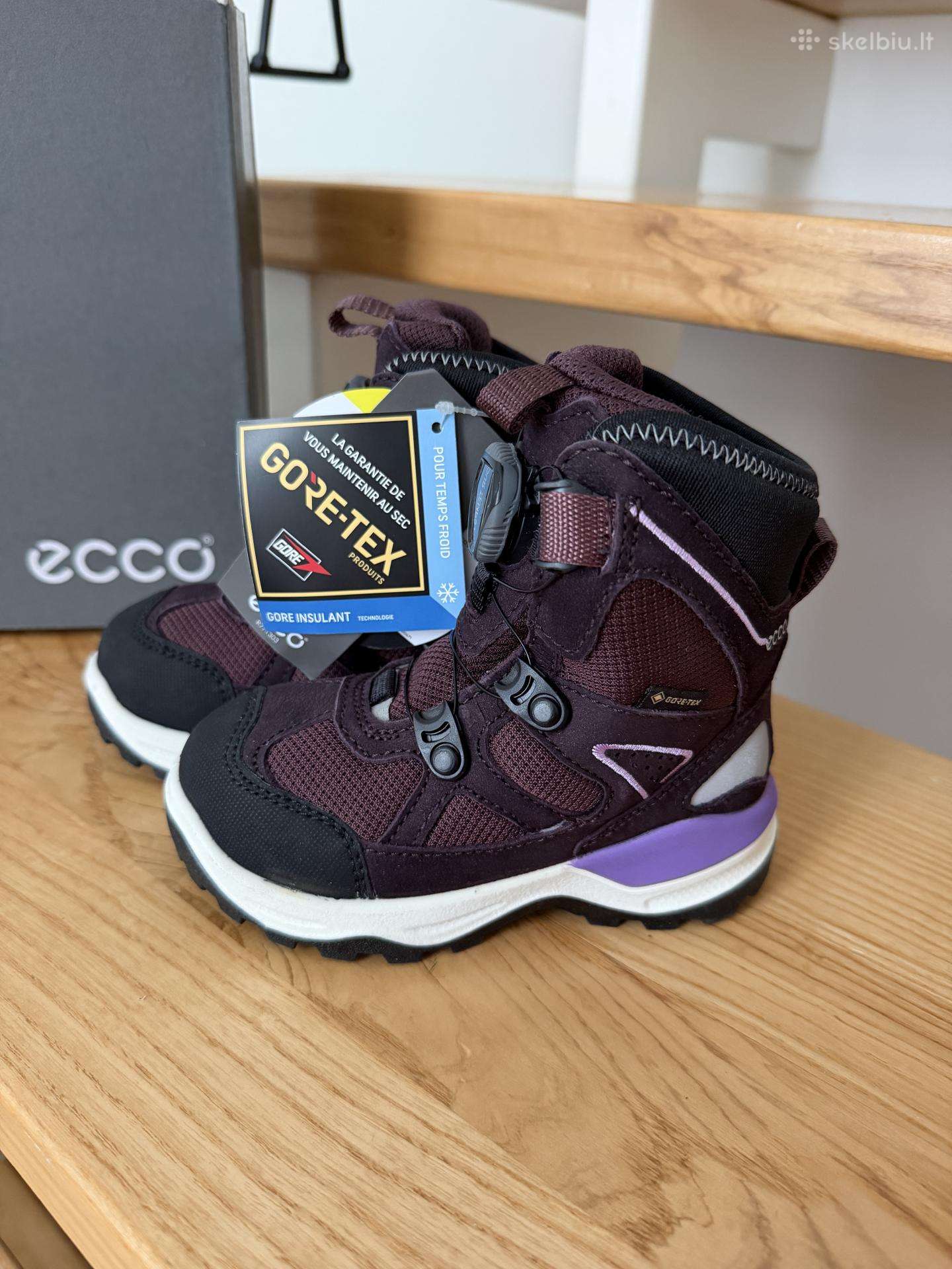Ecco aulinukai