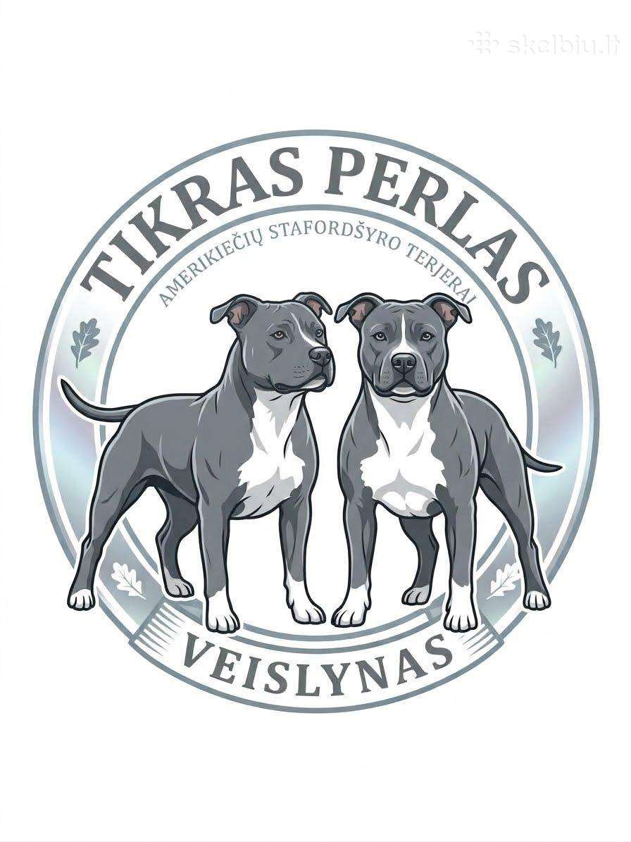 Amerikiečių stafordšyro terjerai