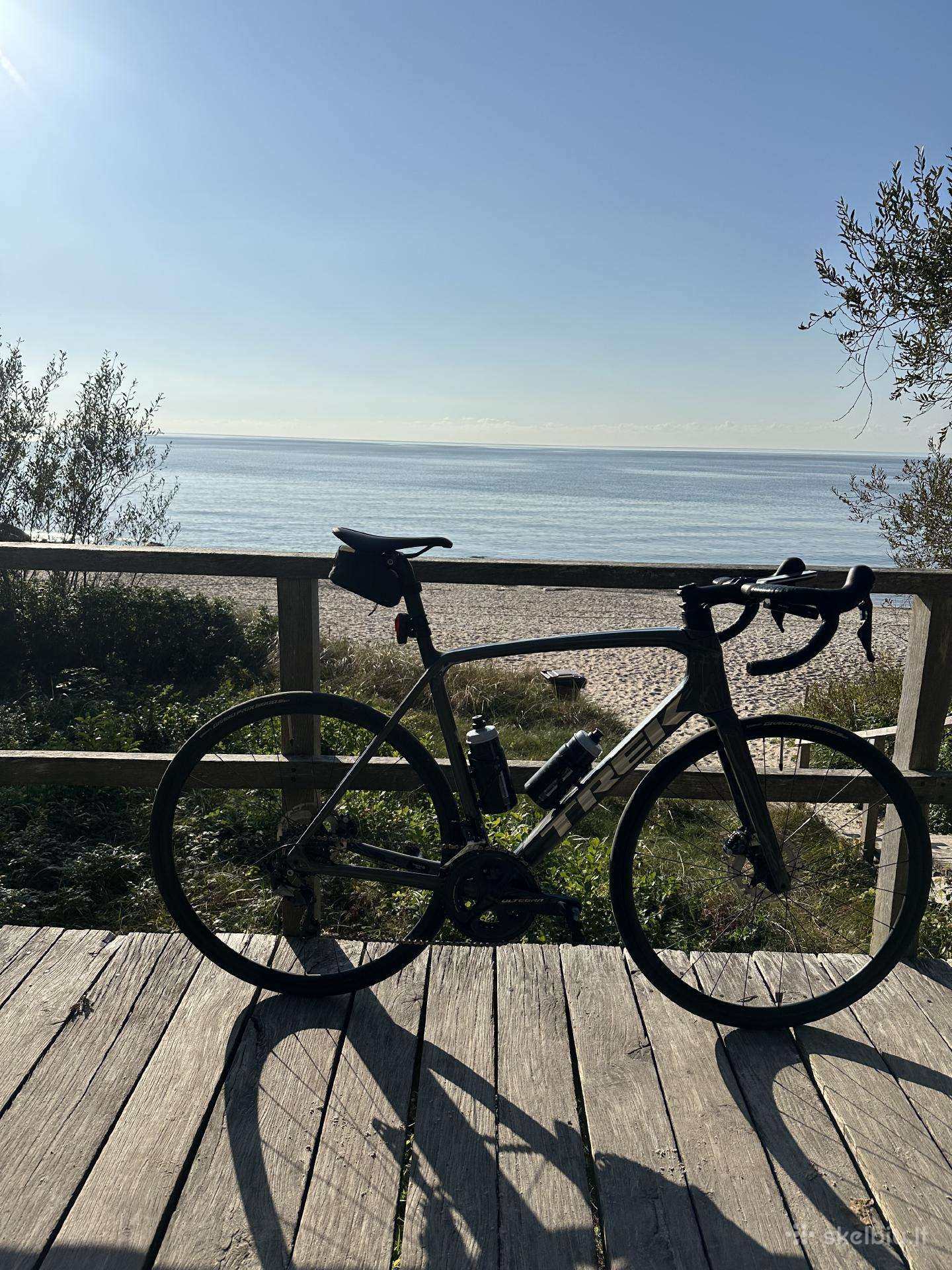 Trek Emonda SL 6 Disc Carbon/ Ultegra/ 58/ 2022