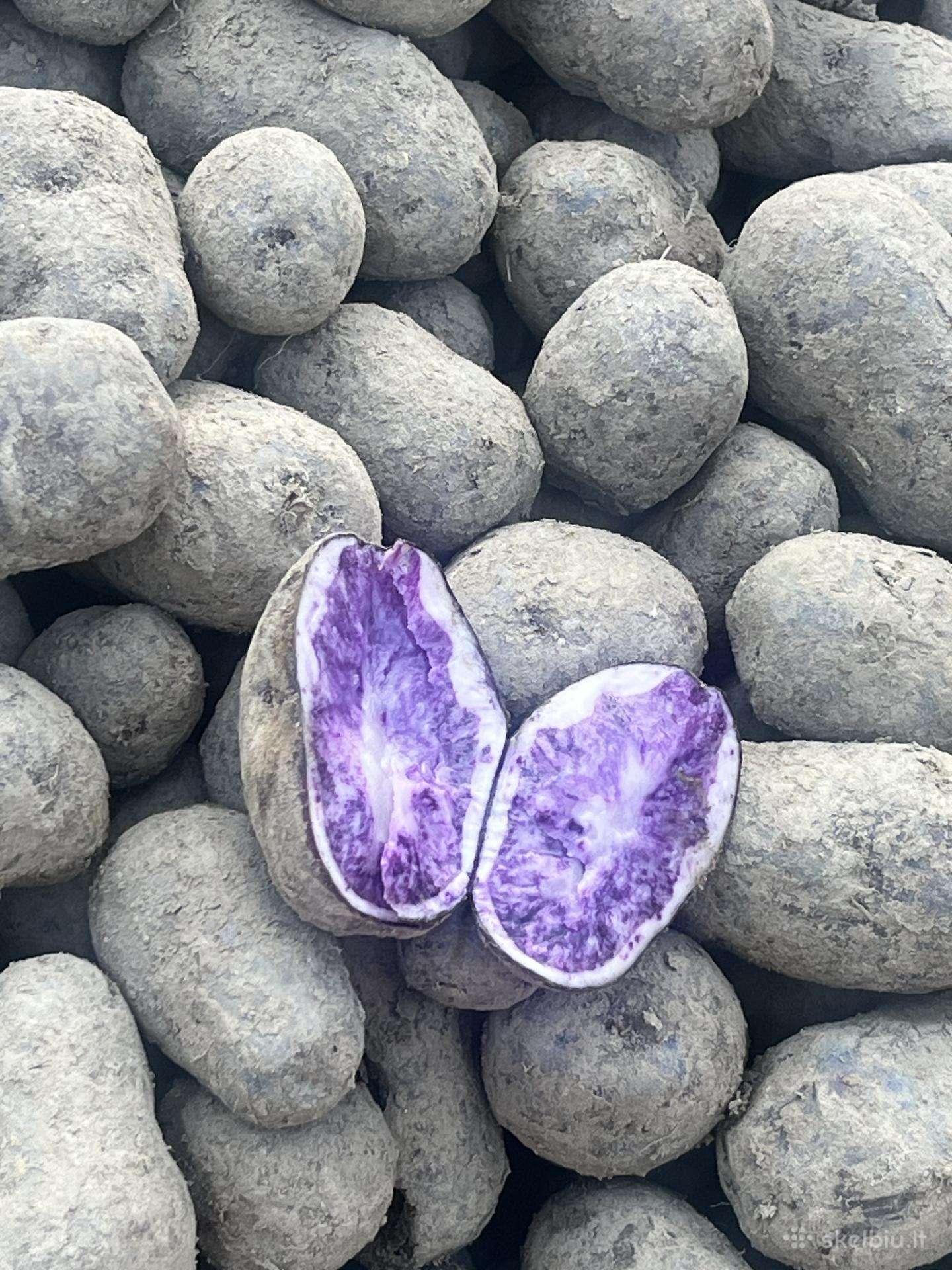 Parduodu Vitelotte violetines ir Agila bulvės.