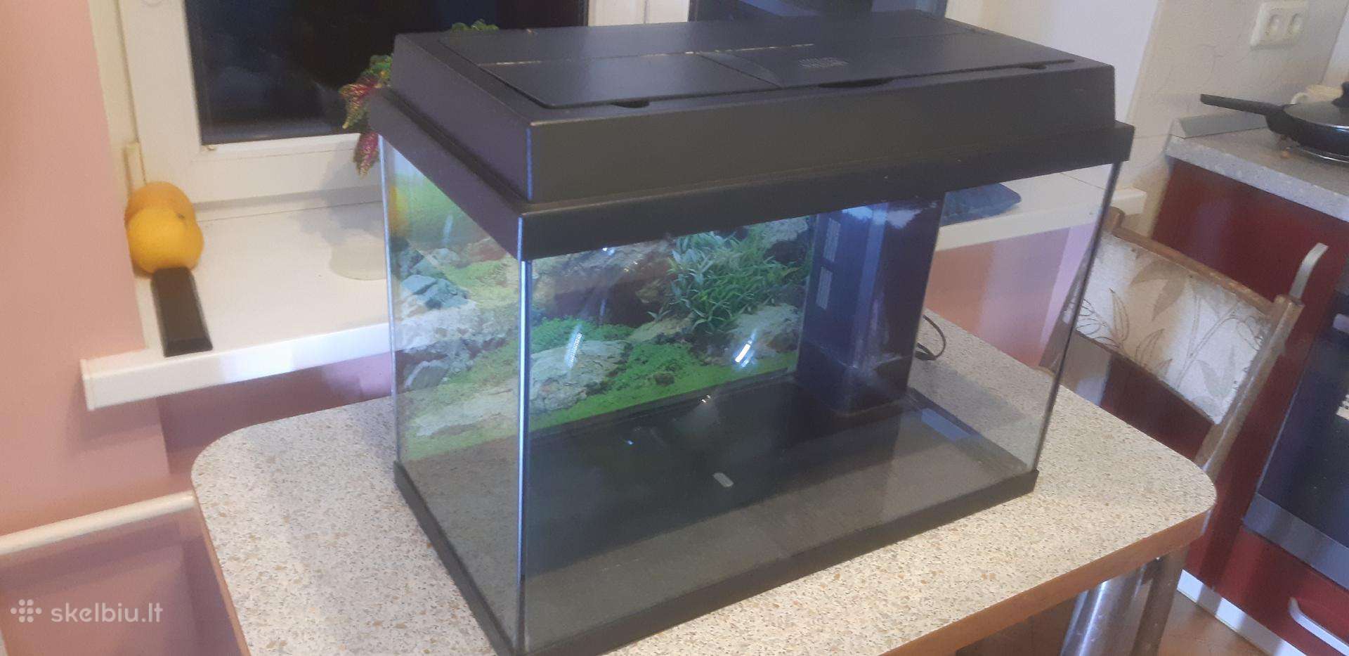 Akvariumas