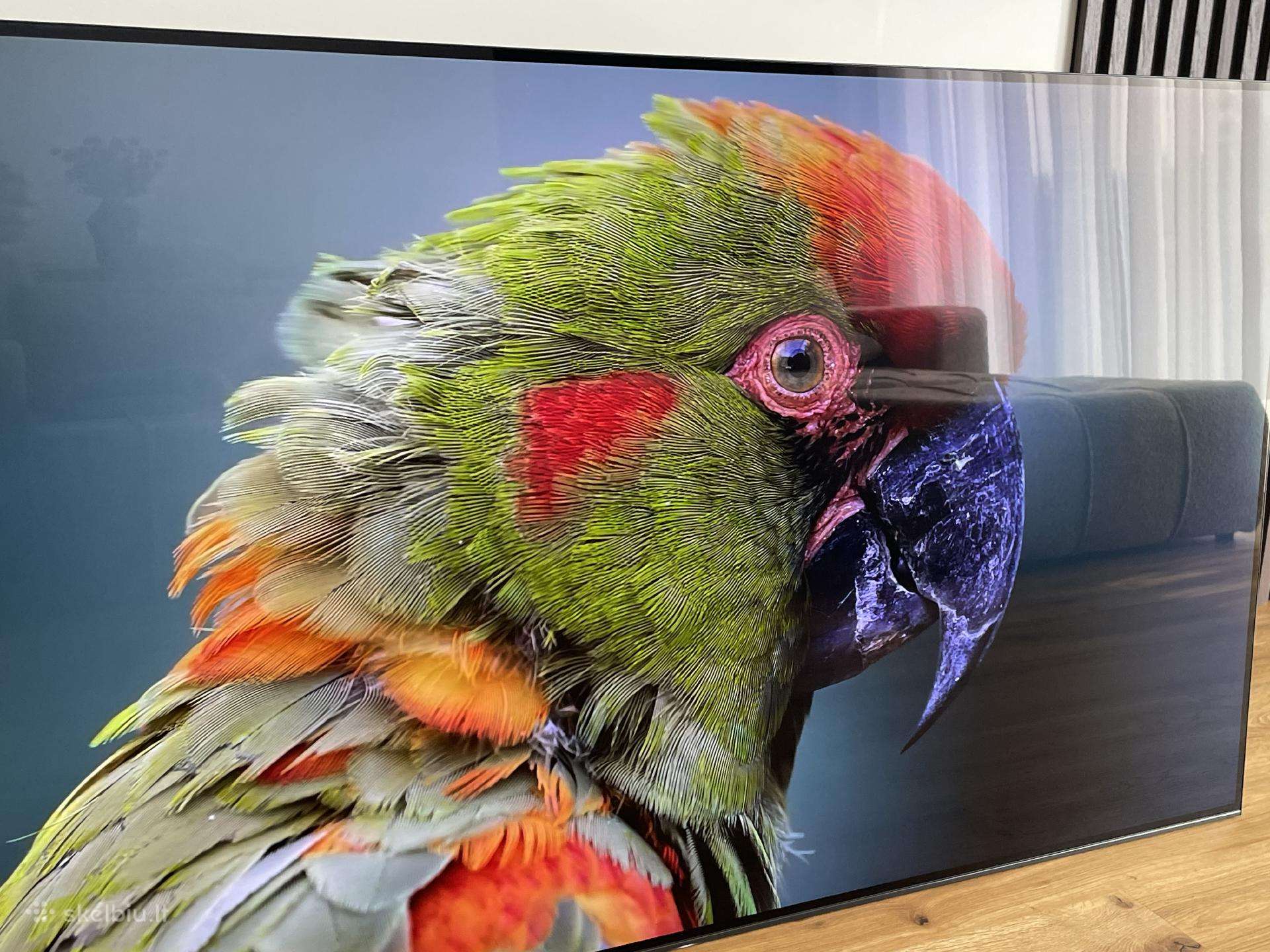 Sony Briavia Kd-65a1 Televizorius