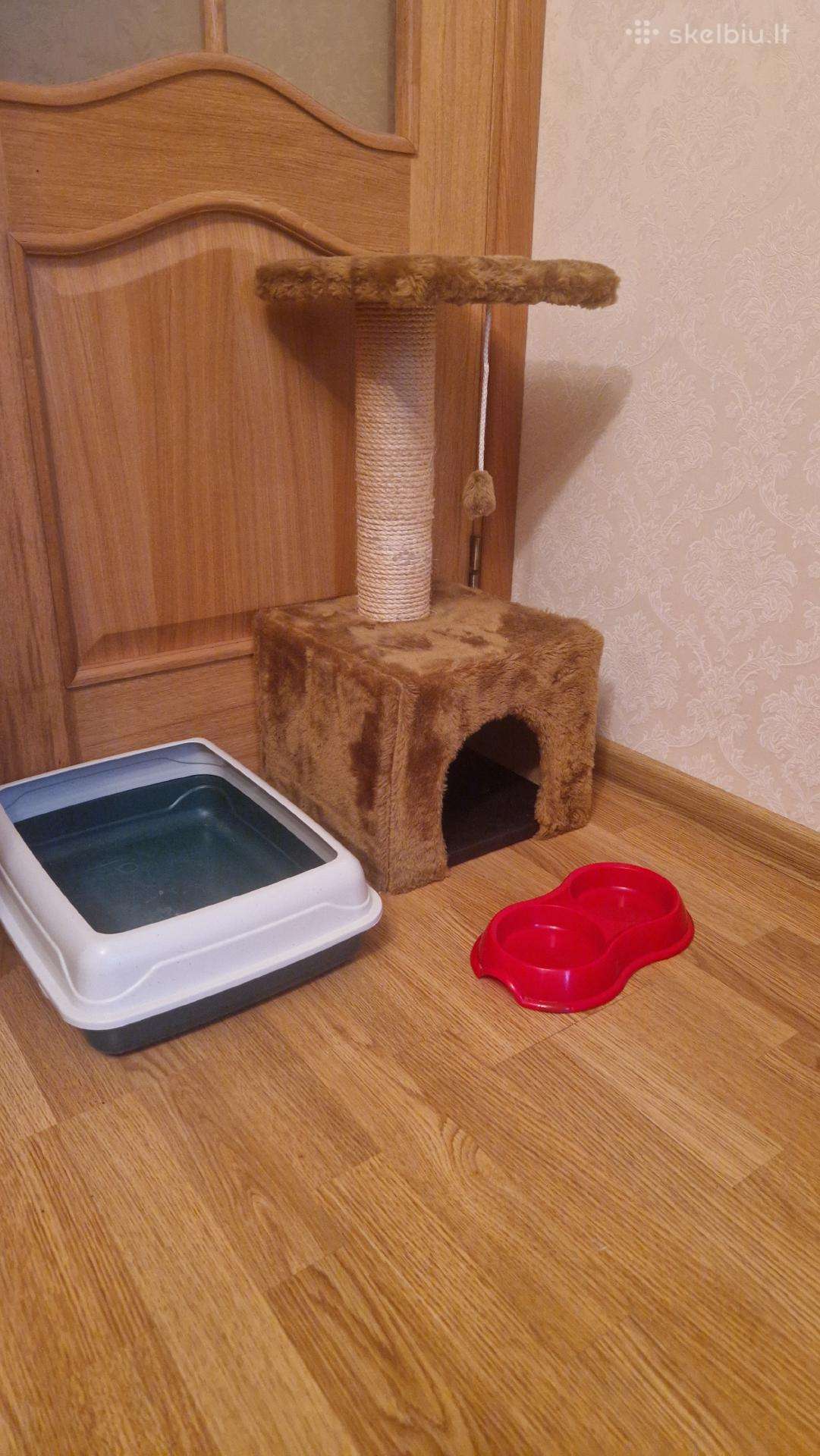 Namelis-draskyklė, maisto dubenėliai ir tualetas