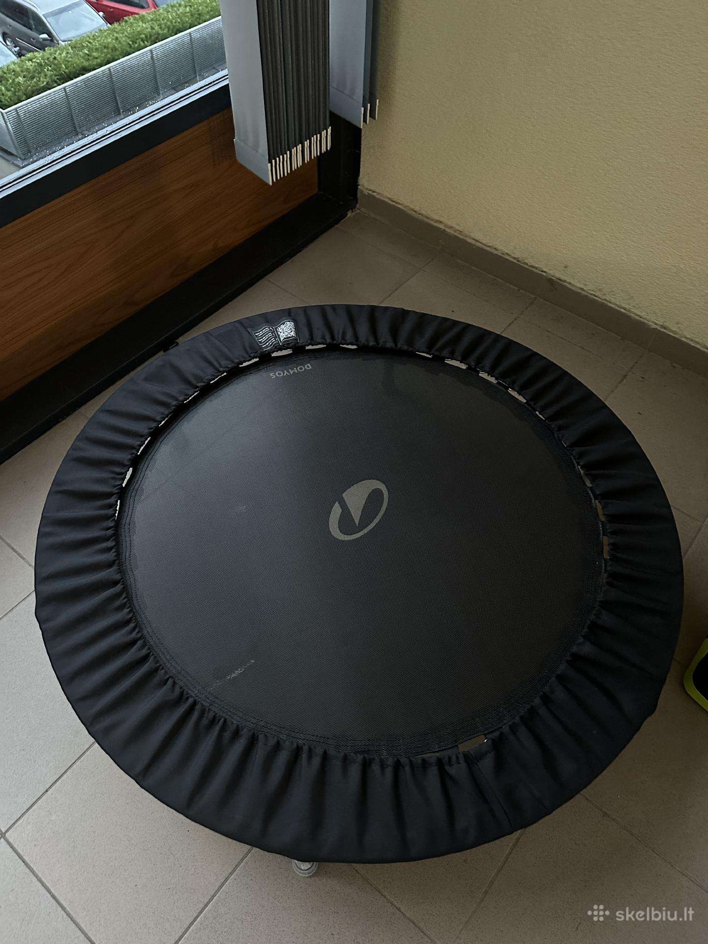 Vidaus batutas