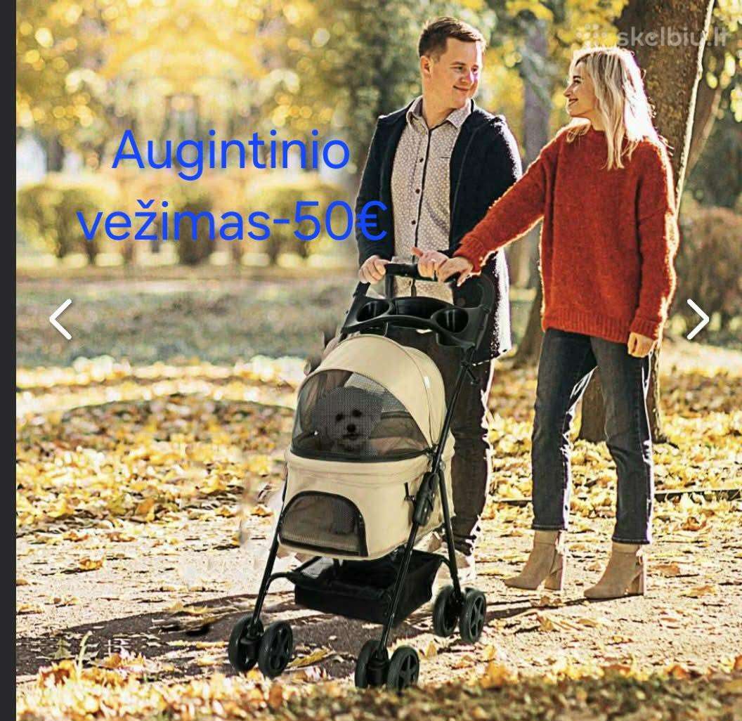 Augintinio vežimas
