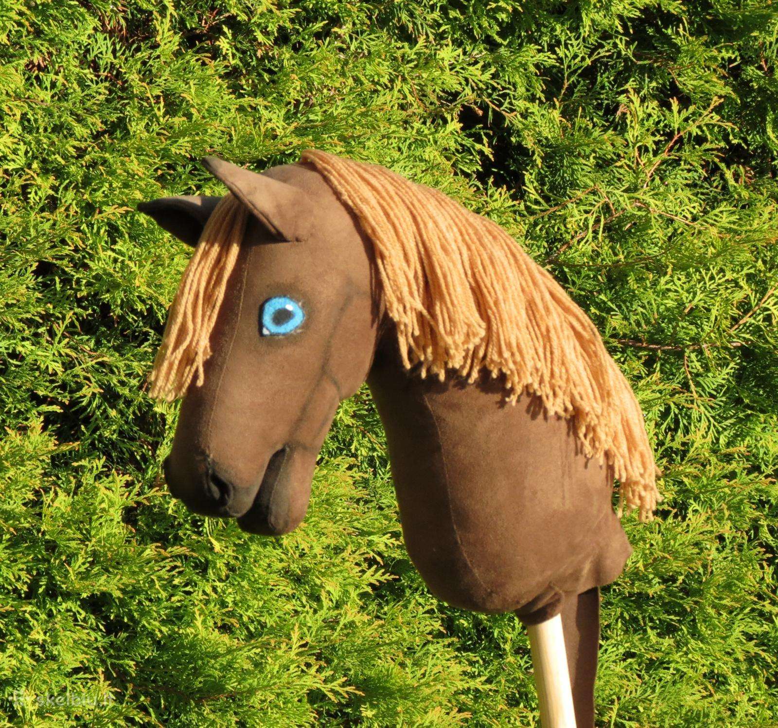 Rankų darbo Hobby Horse