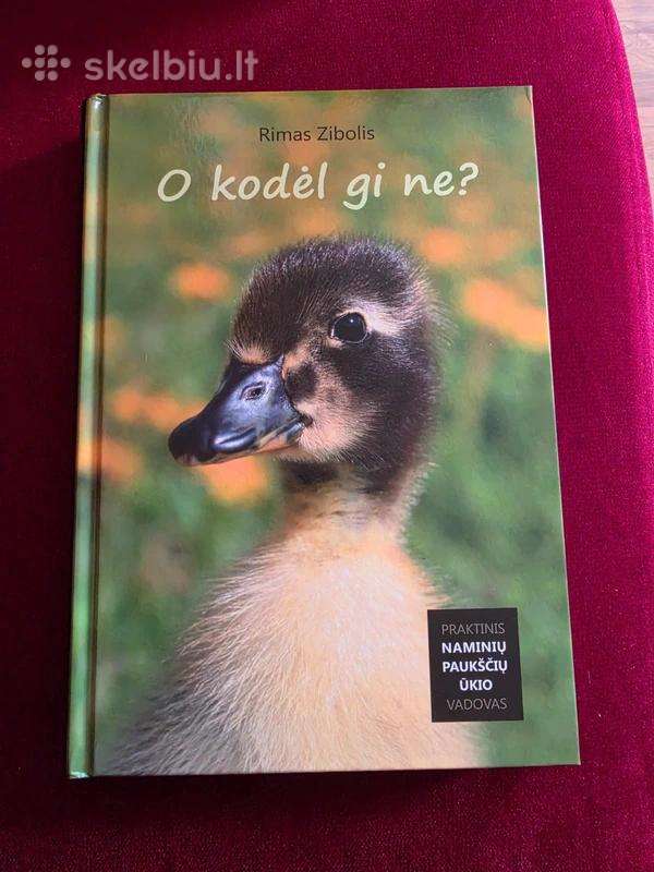 O kodėl gi ne?