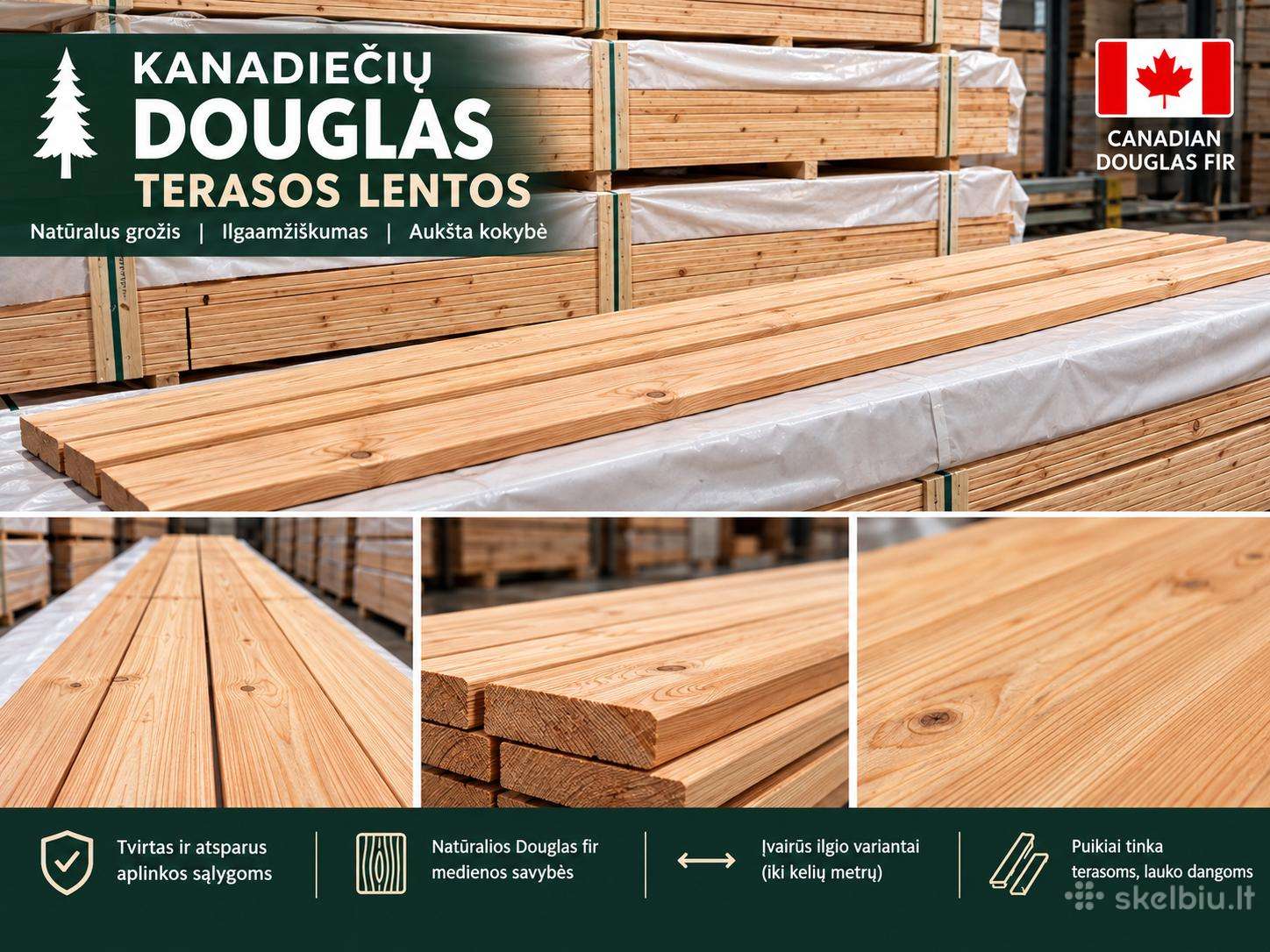Terasines lentos