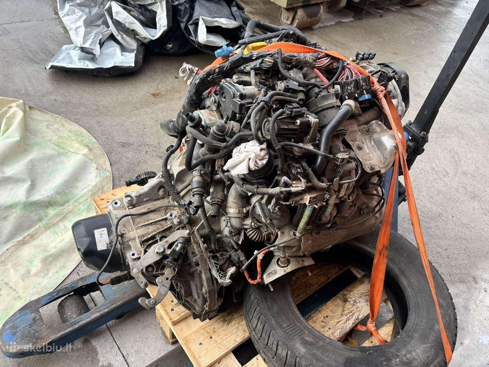 Renault Clio stiklai