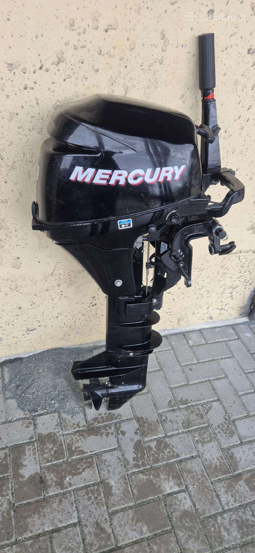 Mercury 9.9