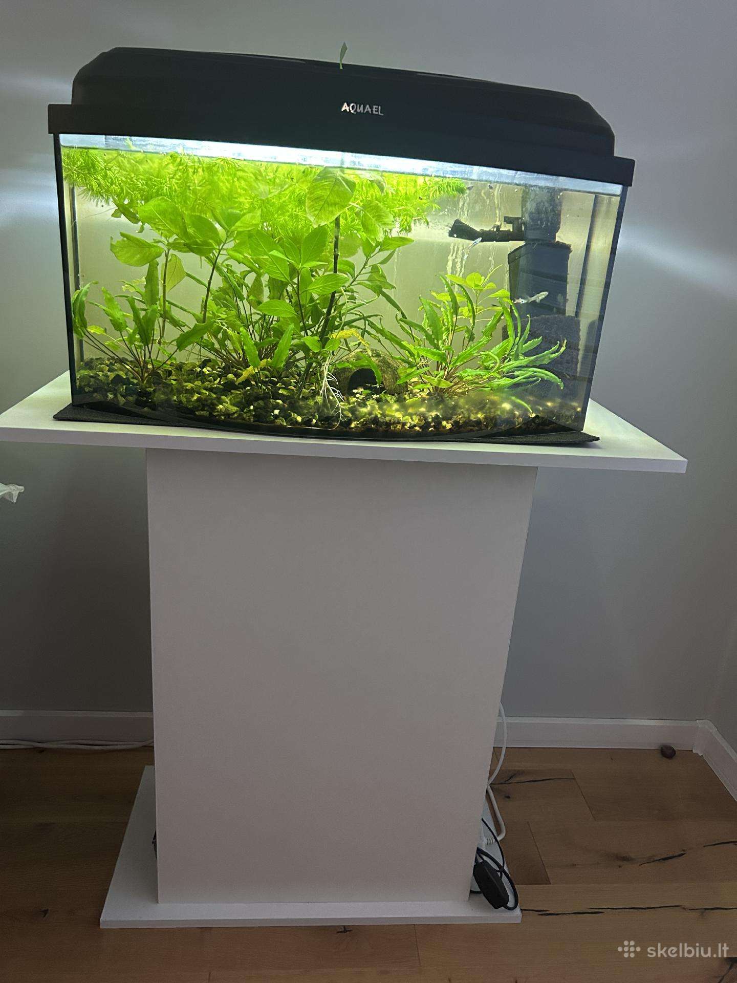 Parduodamas 45l akvariumas su spintele ir žuvytėm