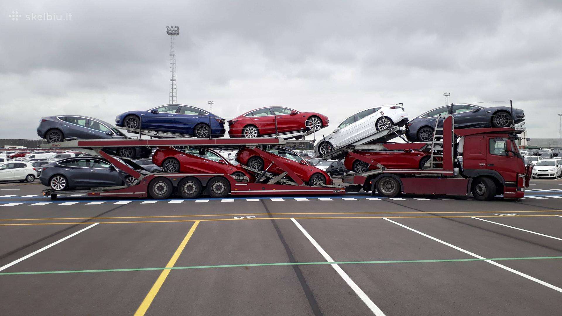 Transporto vadybininkas
