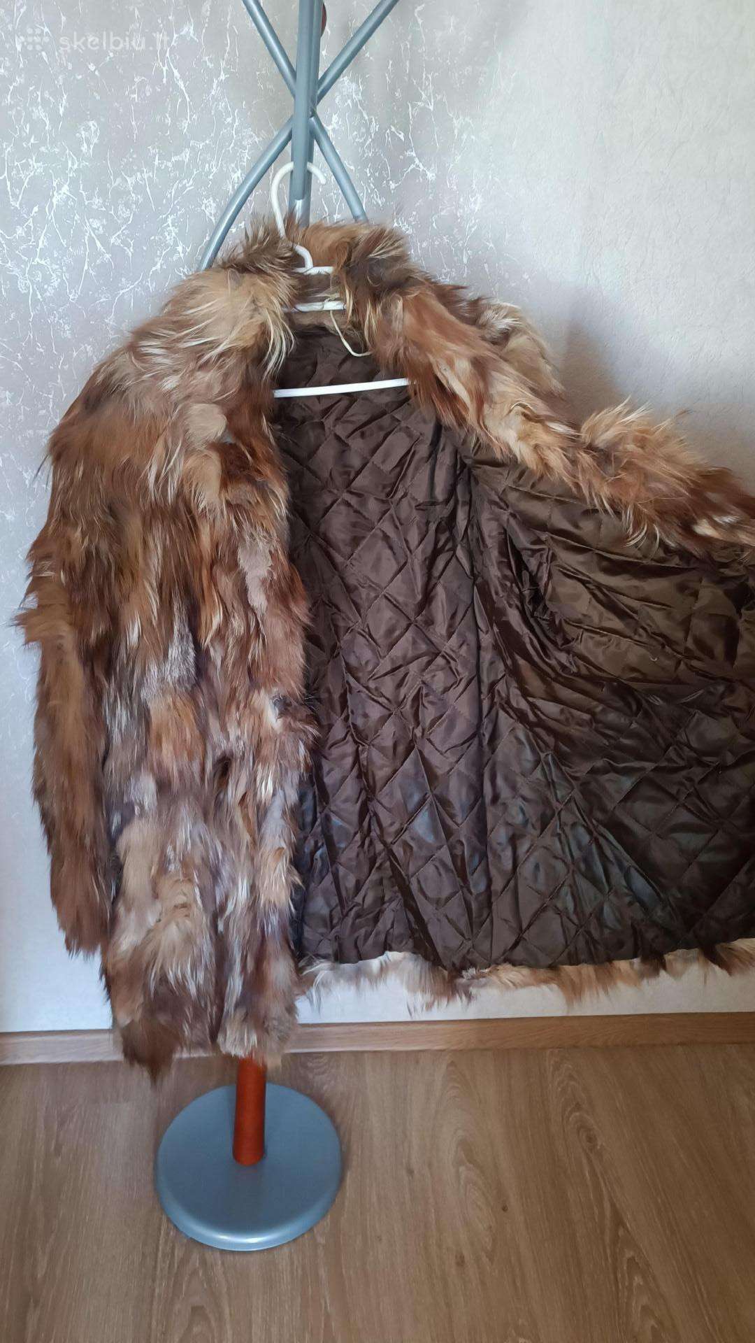Lapės puskalinukai