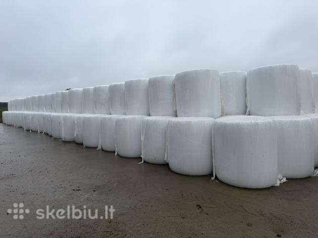 Kukurūzų rulonai