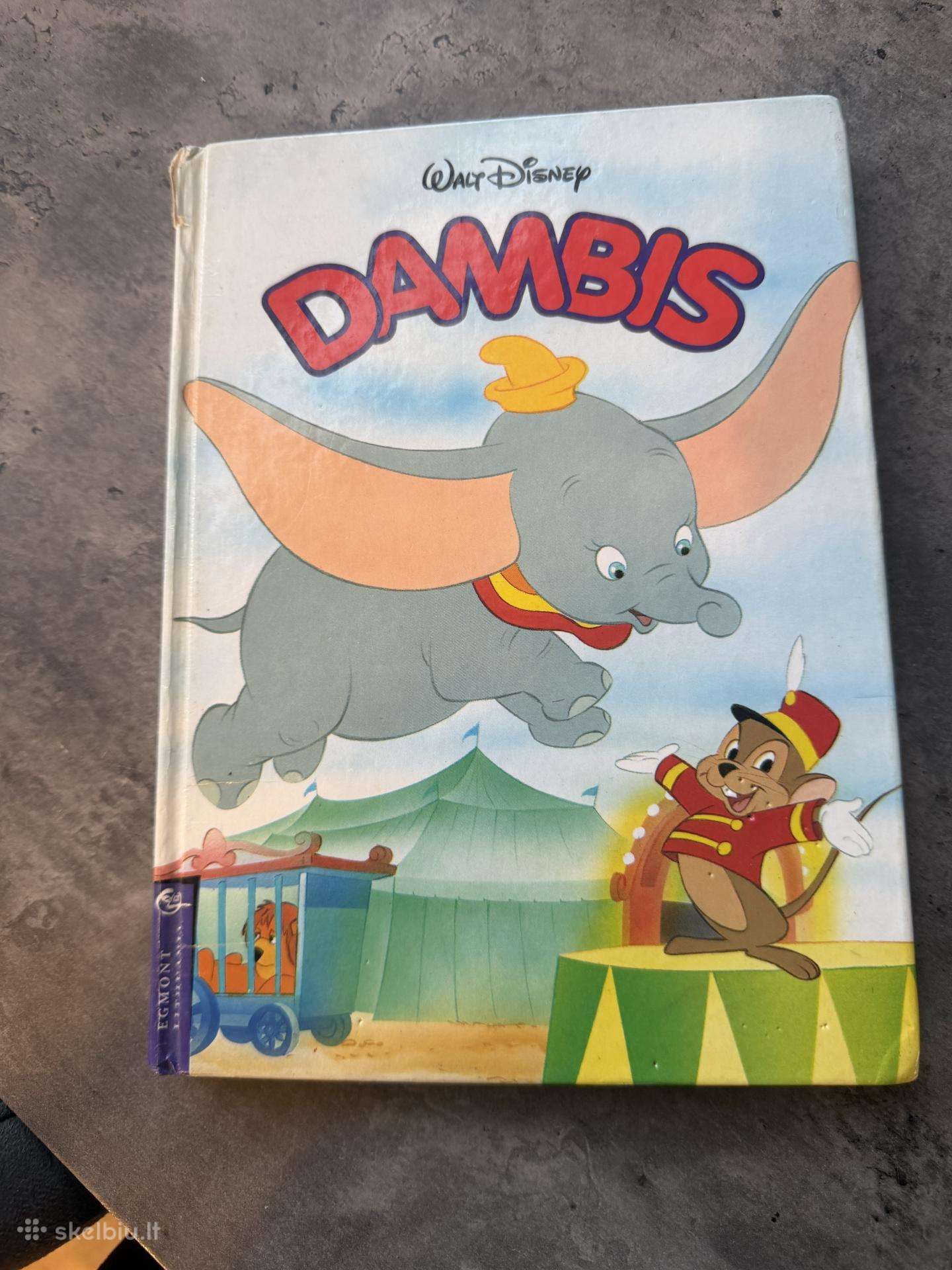 Knyga Dambis