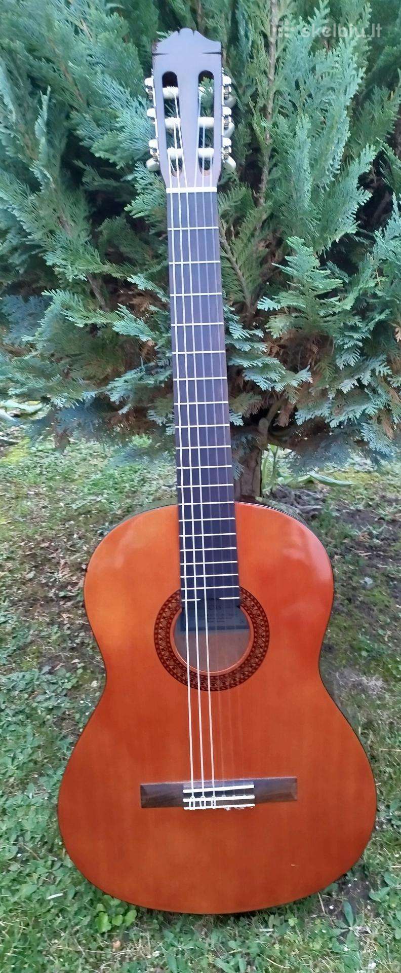 Yamaha klasikine gitara