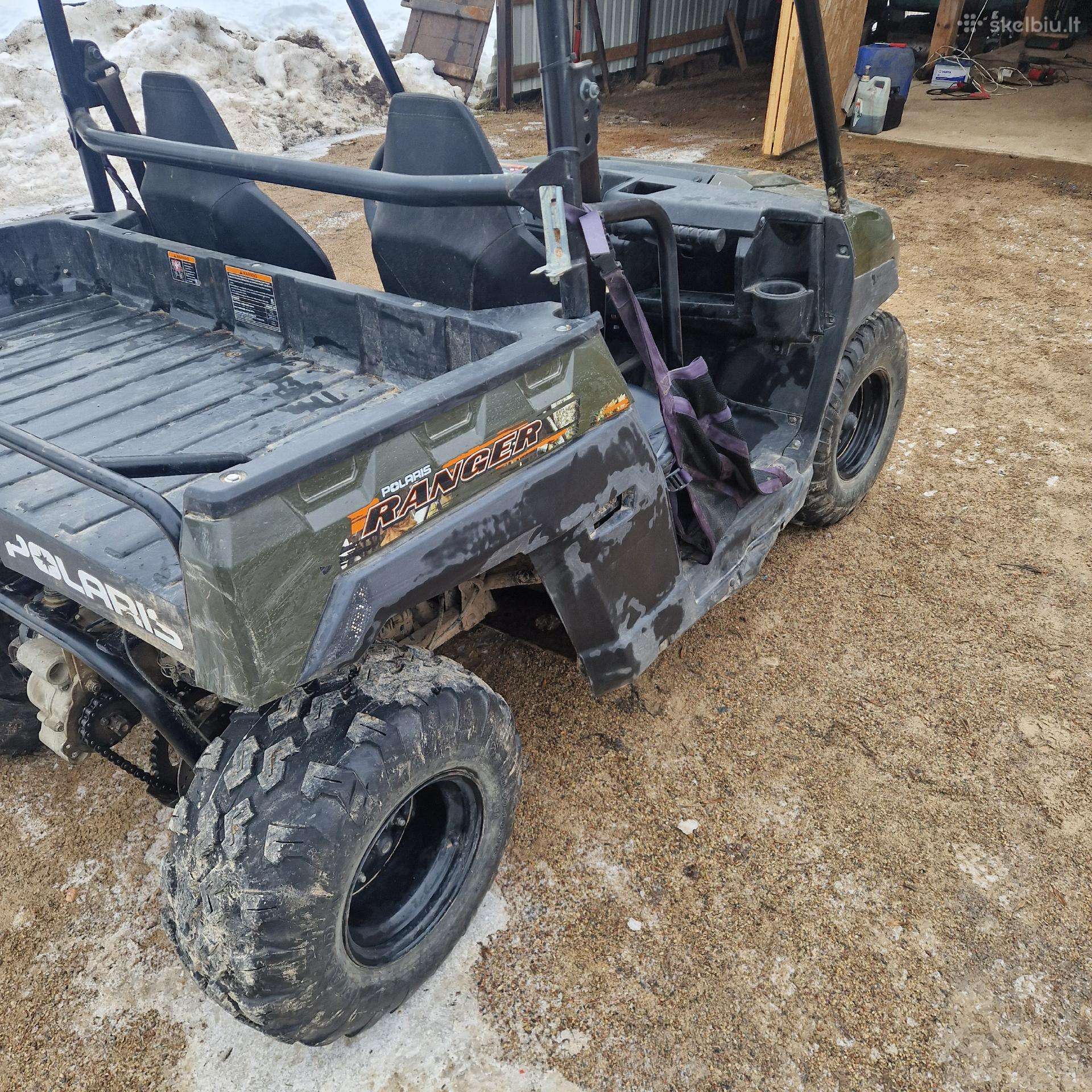 Bagis polaris renger