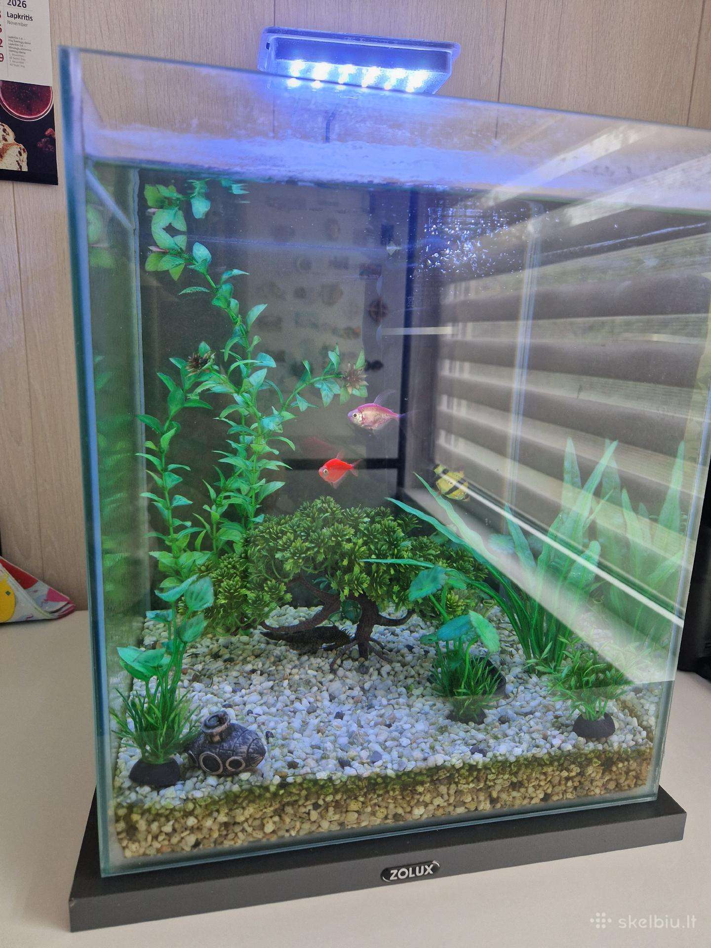 Akvariumas