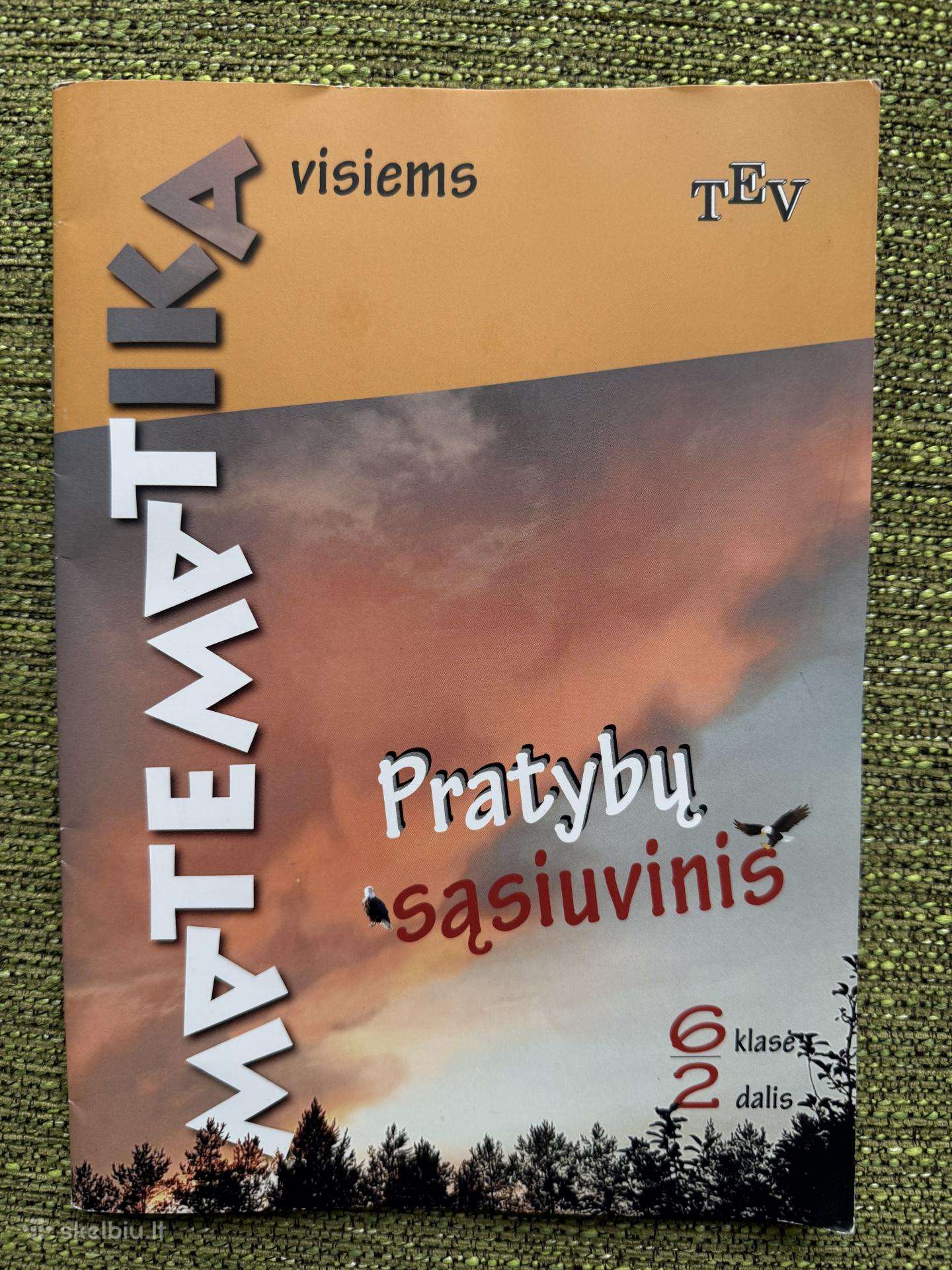 Matematika visiems. Pratybų sąsiuvinis 6 kl. 2 d.