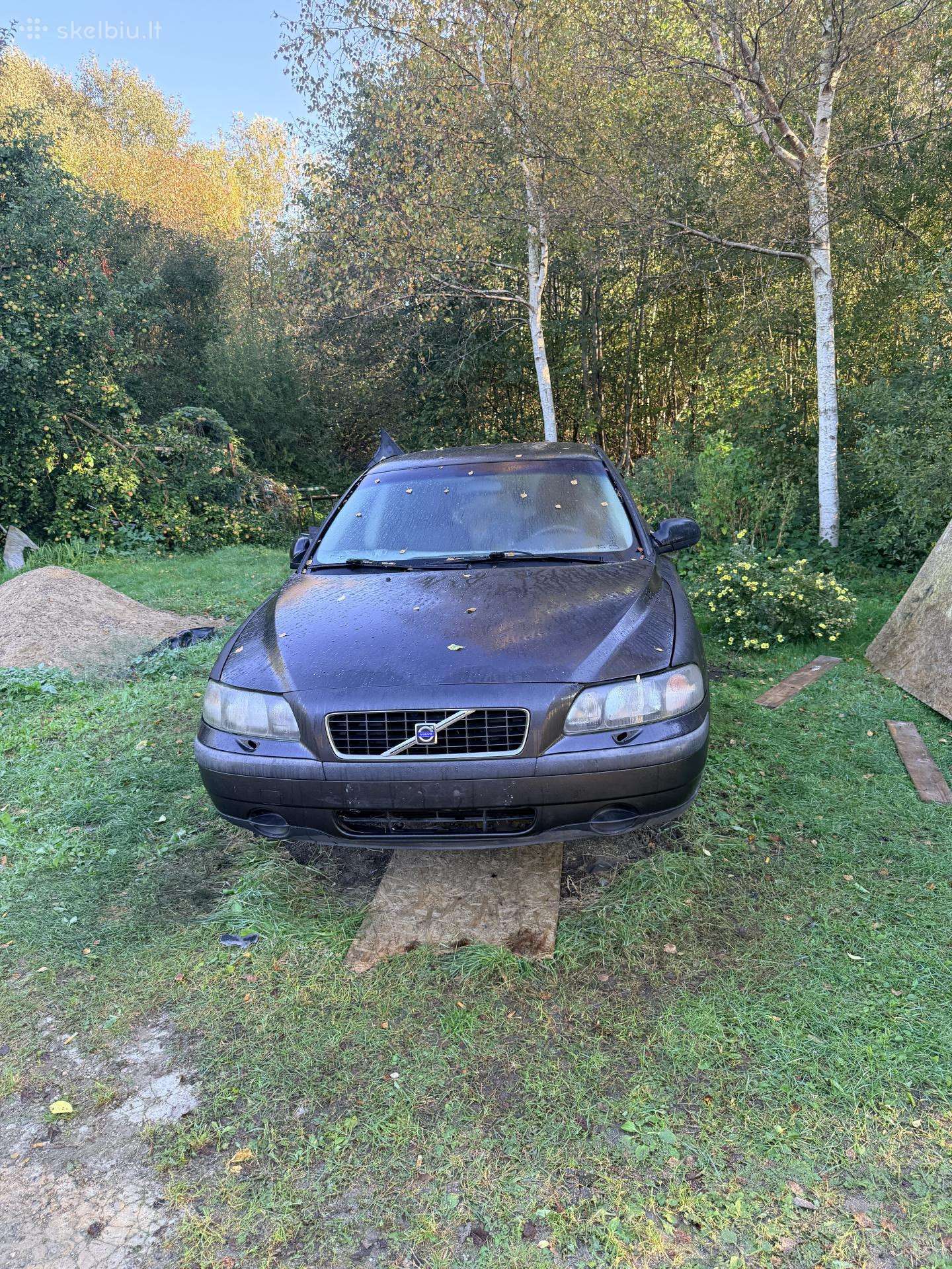 2000 metų Dalim s60