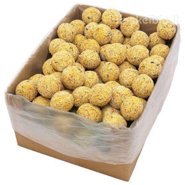 Riebalų kamuoliai paukščiams, 90g vidaxl(170899)
