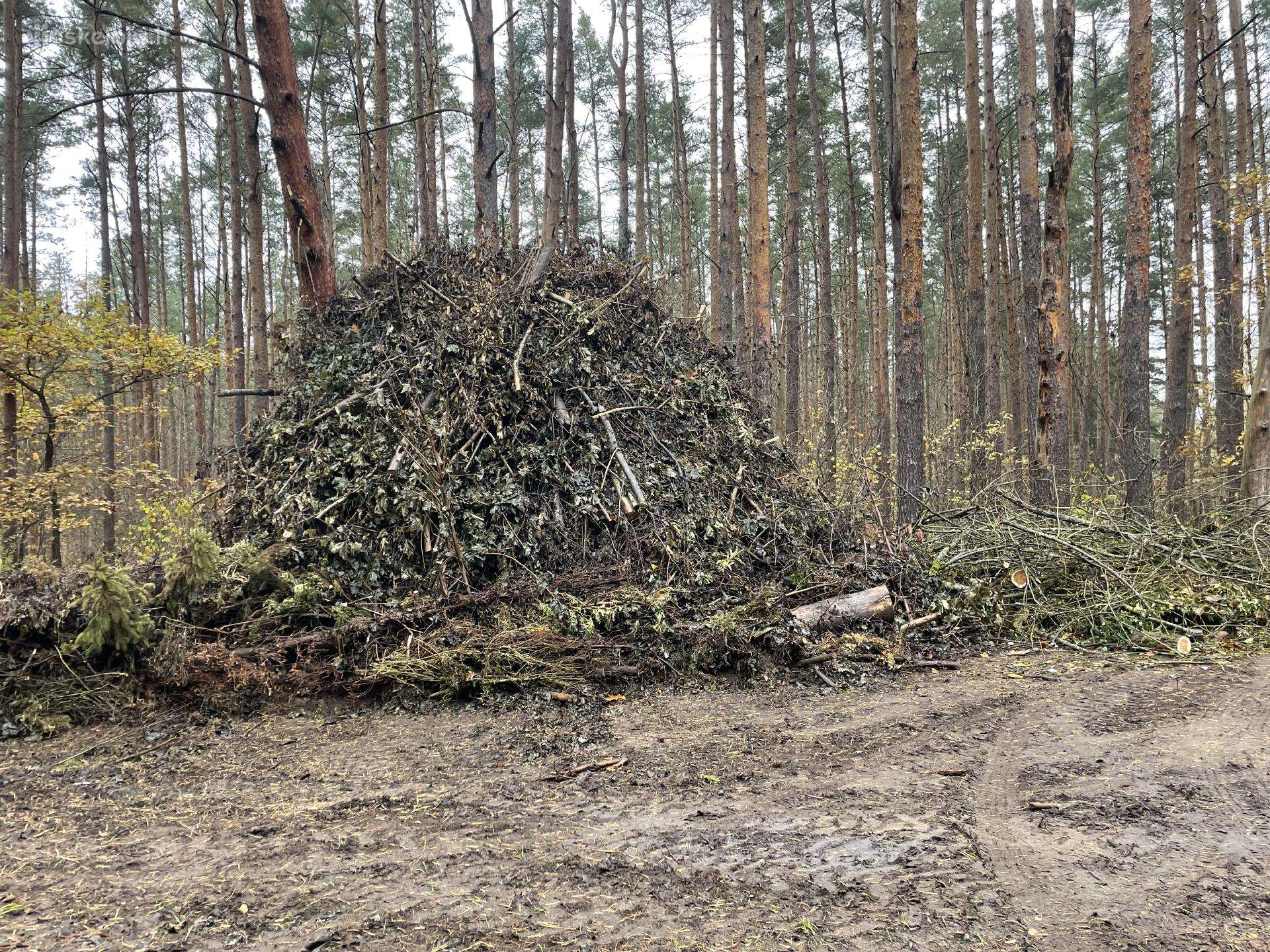 Medžių Genėjimas , Lapų Šakų Išvežimas