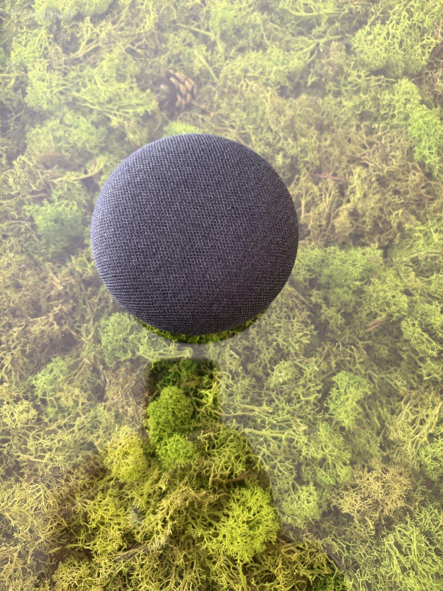 Google Home Mini 1st Gen Smart Speaker