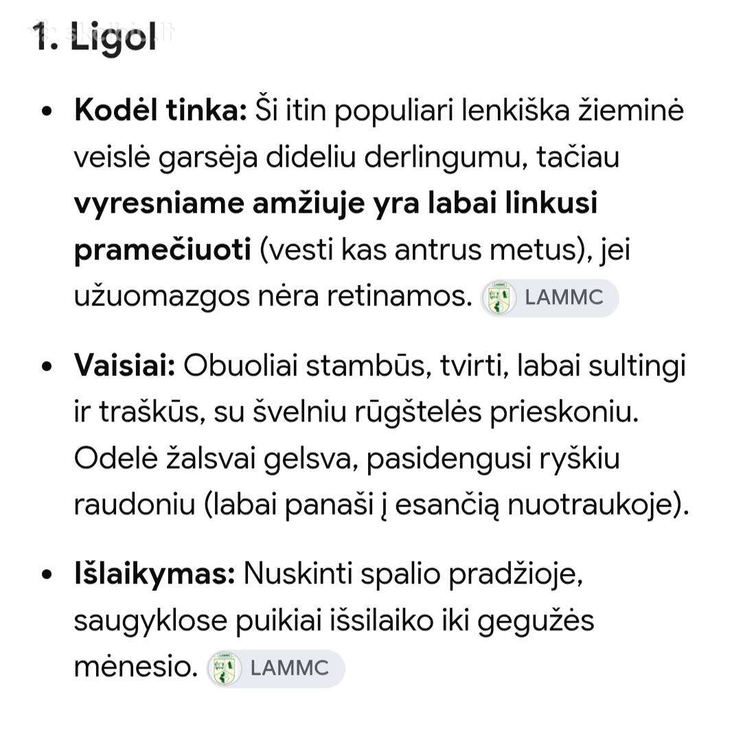 Šviežios Virintos obuolių sultys