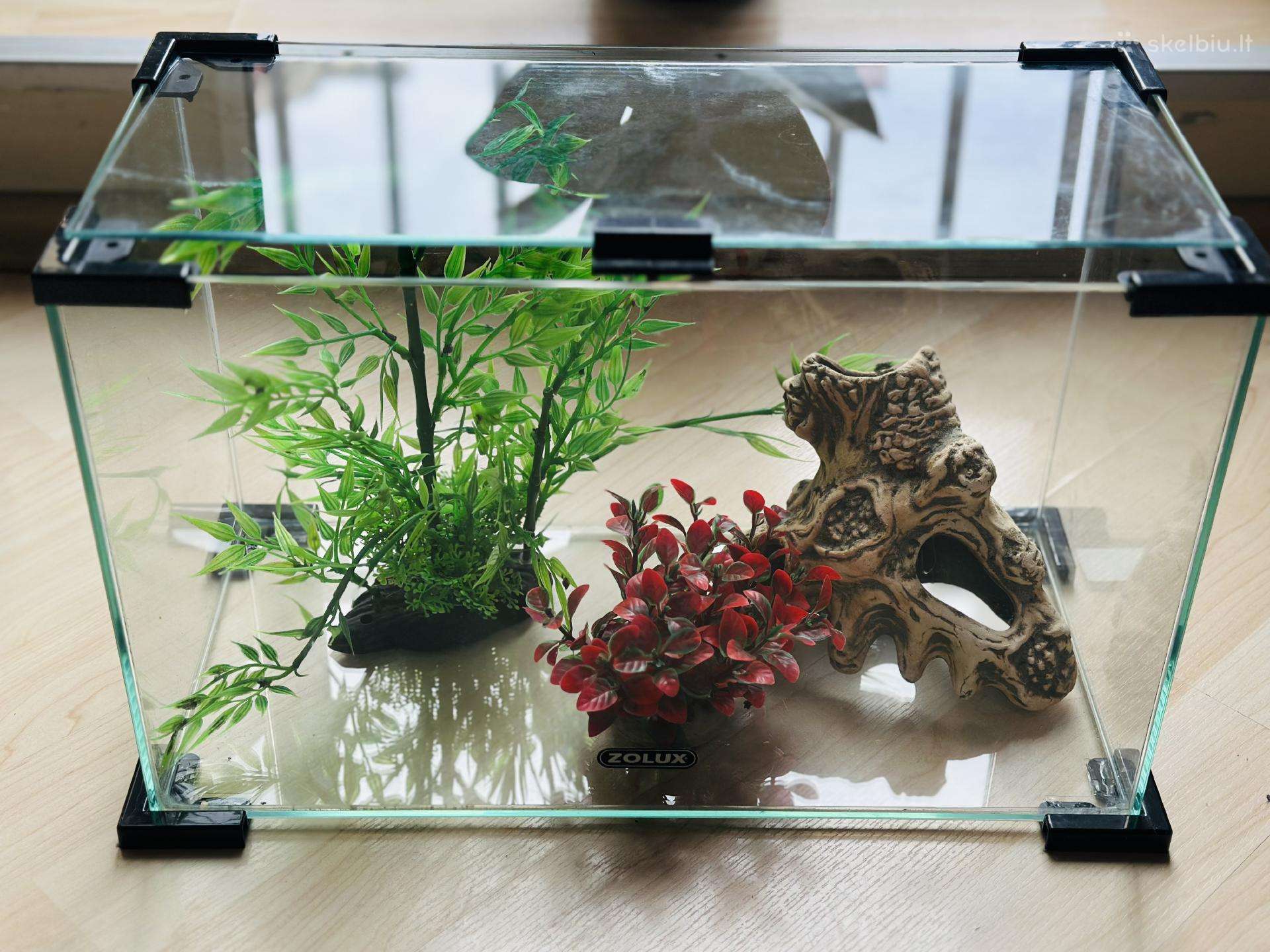 Akvariumas