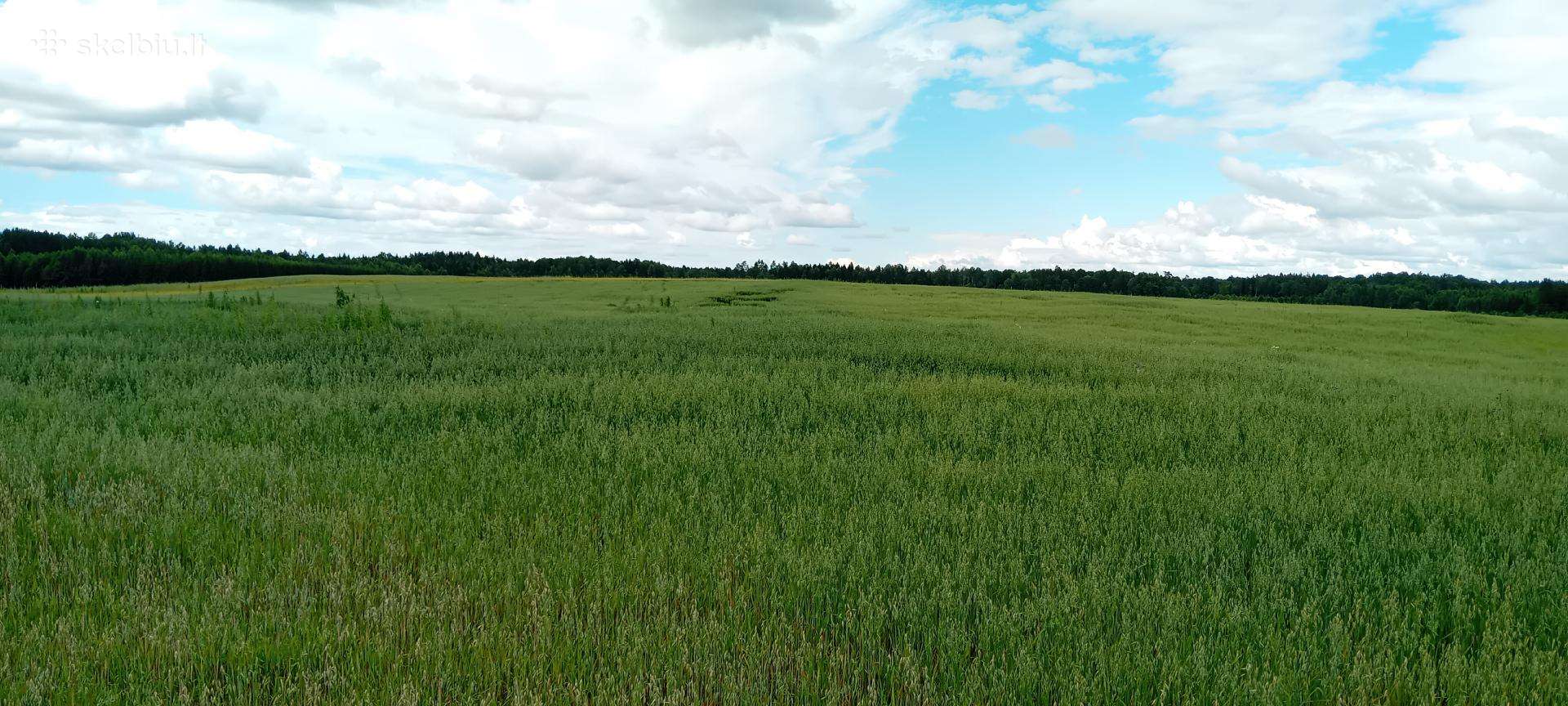 Pirksiu arba nuomosiuosi žemės ūkio žemę