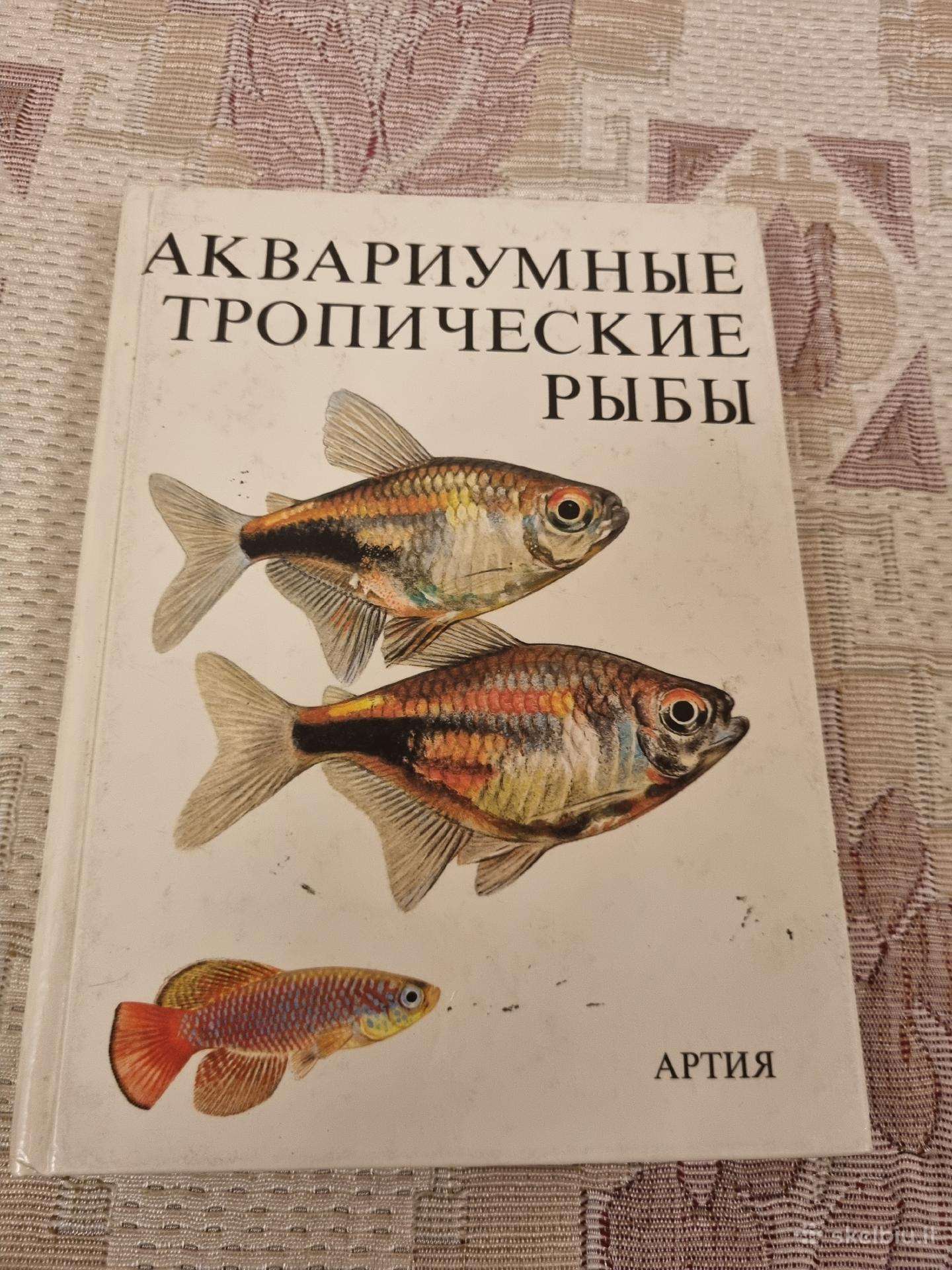 Rusų kalba - Аквариумные тропические рыбы