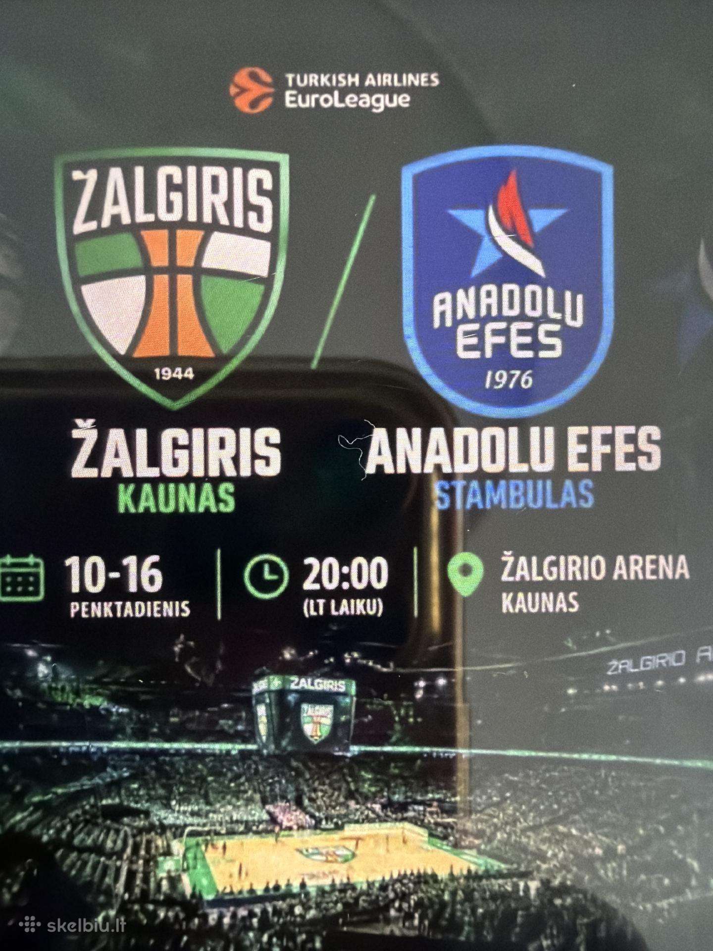Žalgirio-anadolu Efes