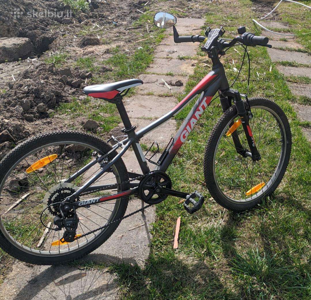Vaikiškas dviratis Giant