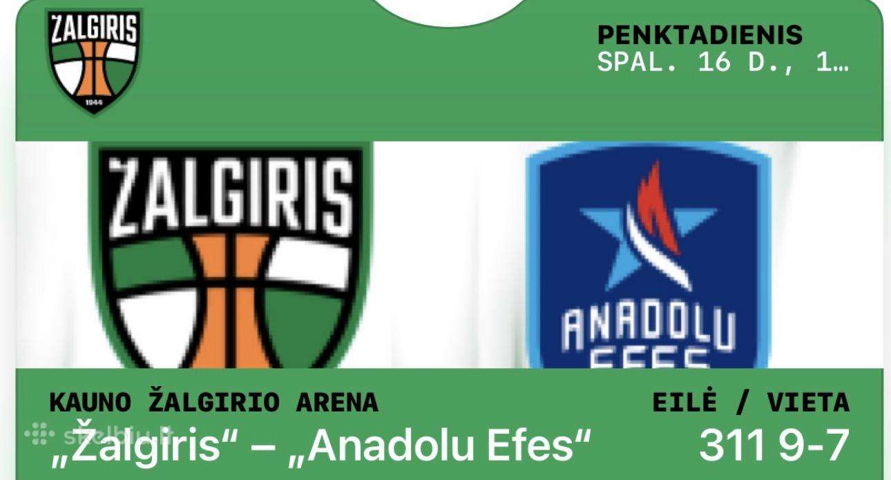 Zalgiris -Efes Anadolu