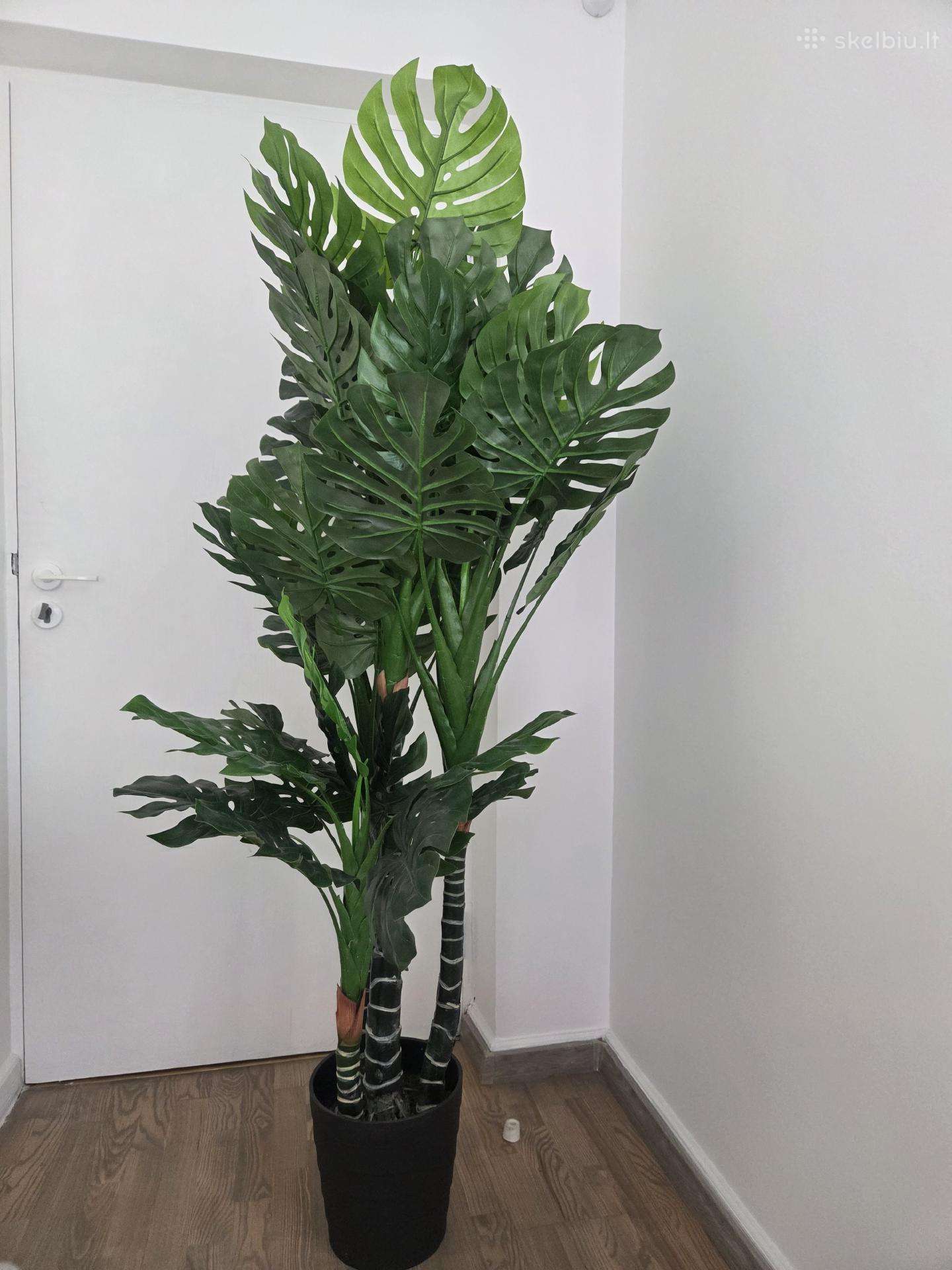 Dirbtinis augalas Monstera