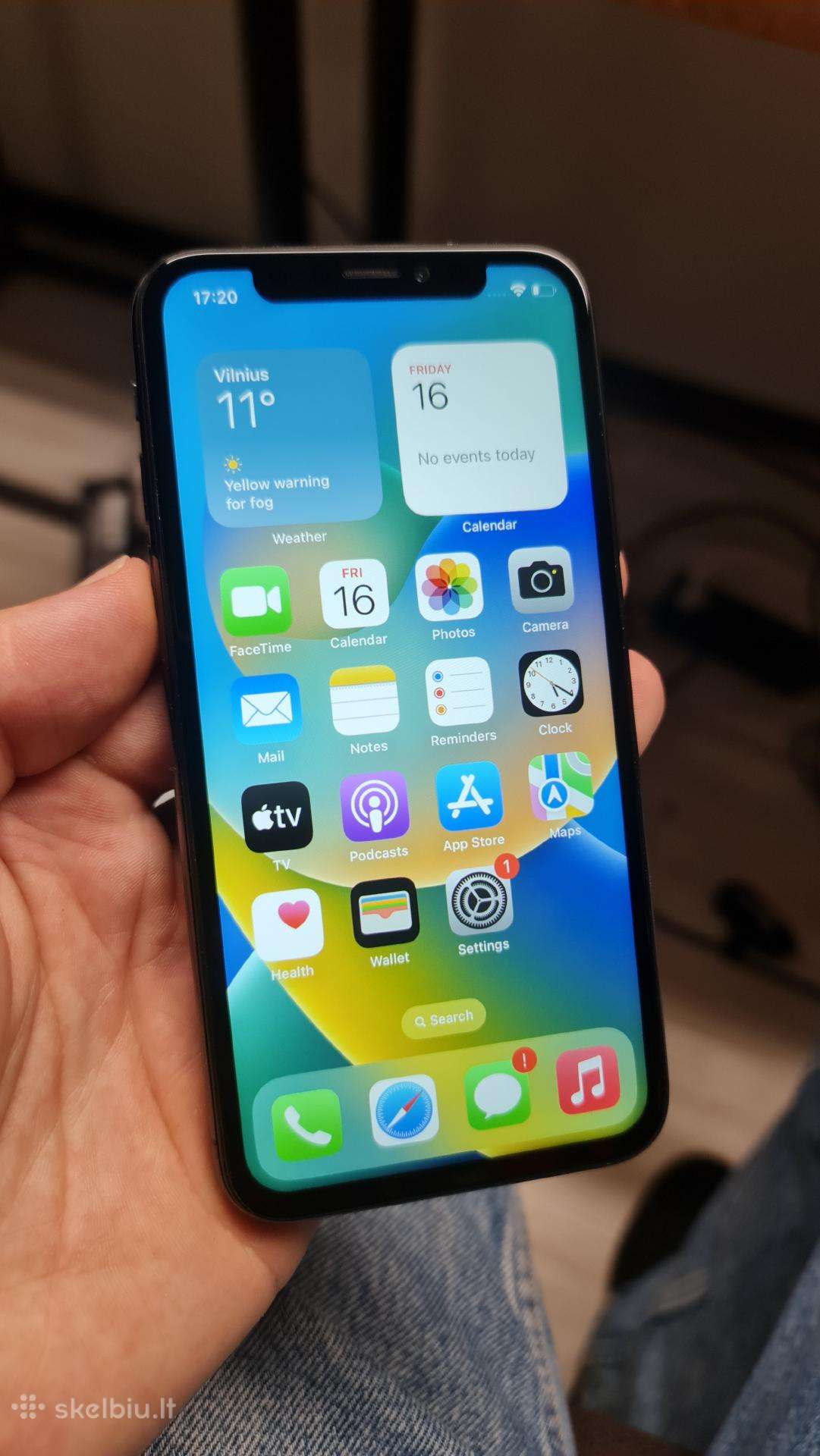 Apple iPhone X