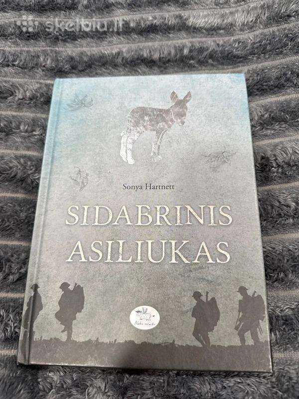Sidabrinis asiliukas