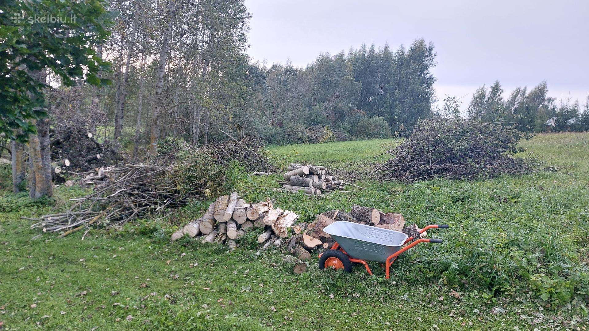 Atiduodu paruoštą medieną kūrenimui