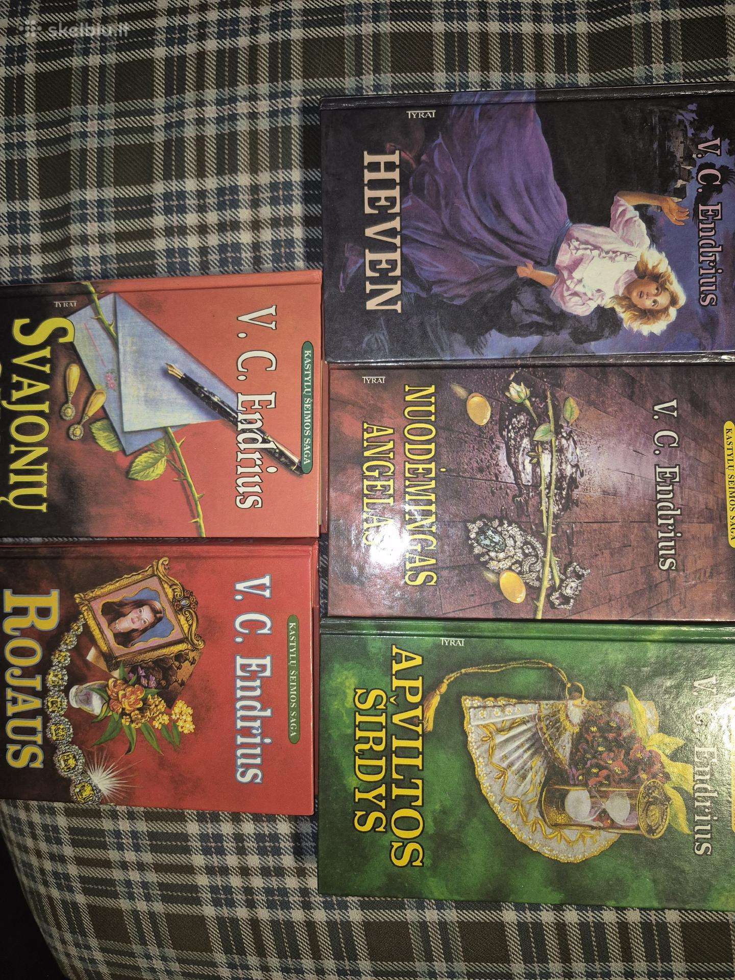 Kastylų šeimos saga