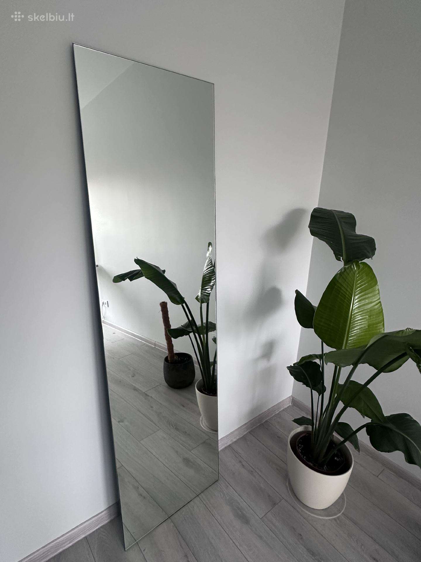 175 x 50 cm, 6 mm storio veidrodis