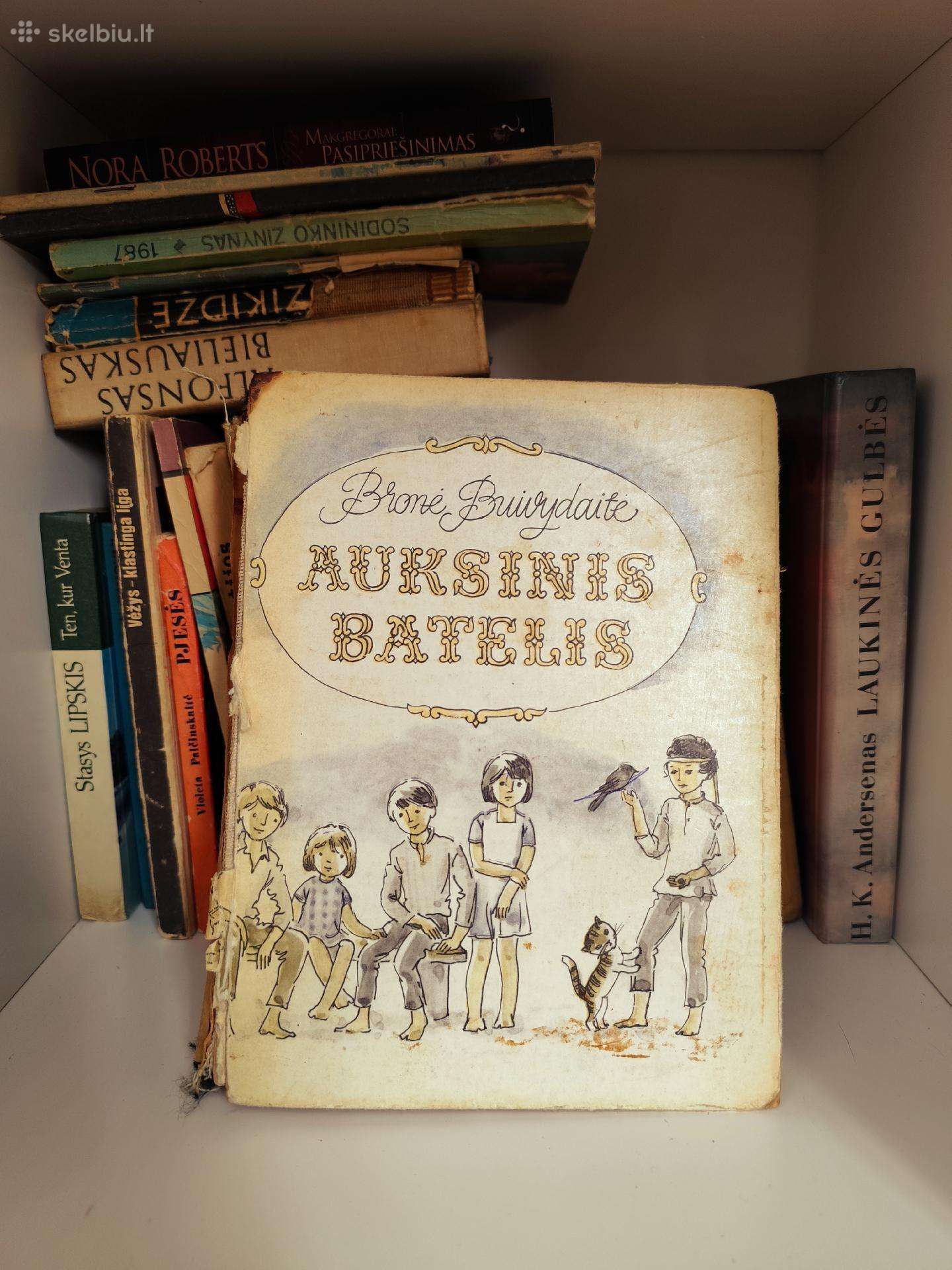 B. Buivydaitė - Auksinis batelis