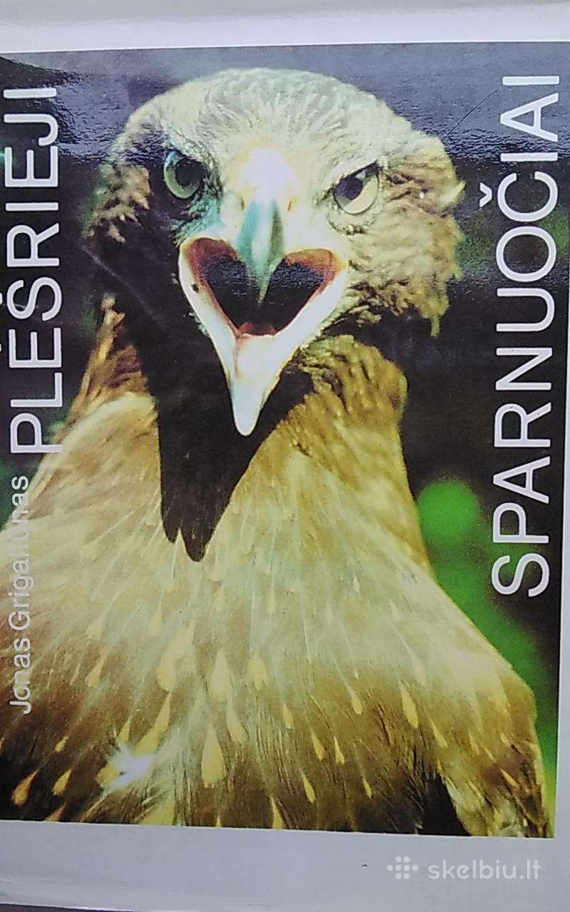 Plėšrieji sparnuočiai