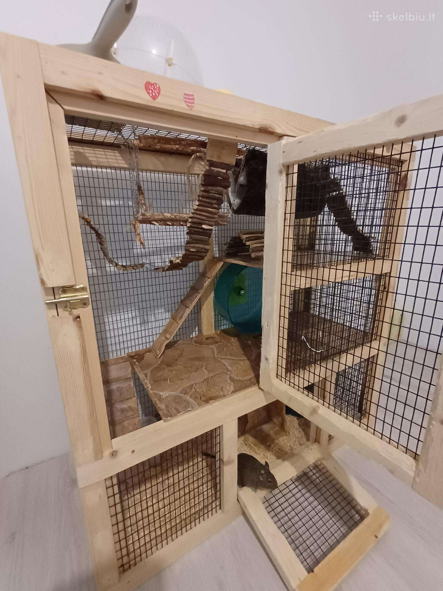 Parduodami degu broliukai kartu su narvu