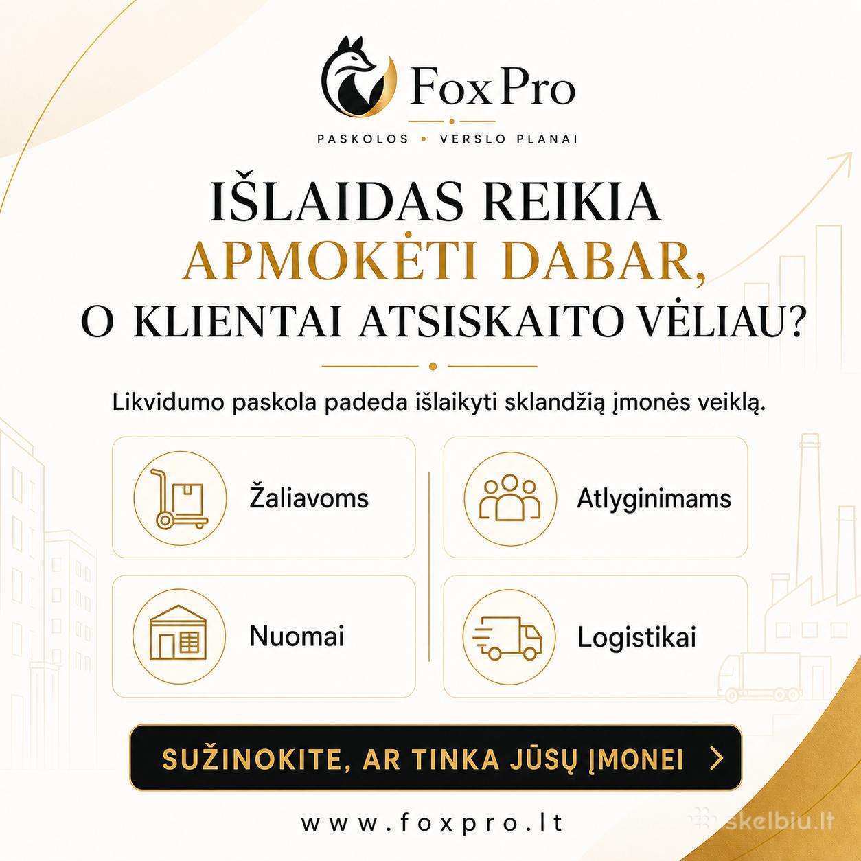 Verslo Planai / Investiciniai Projektai / Paskola