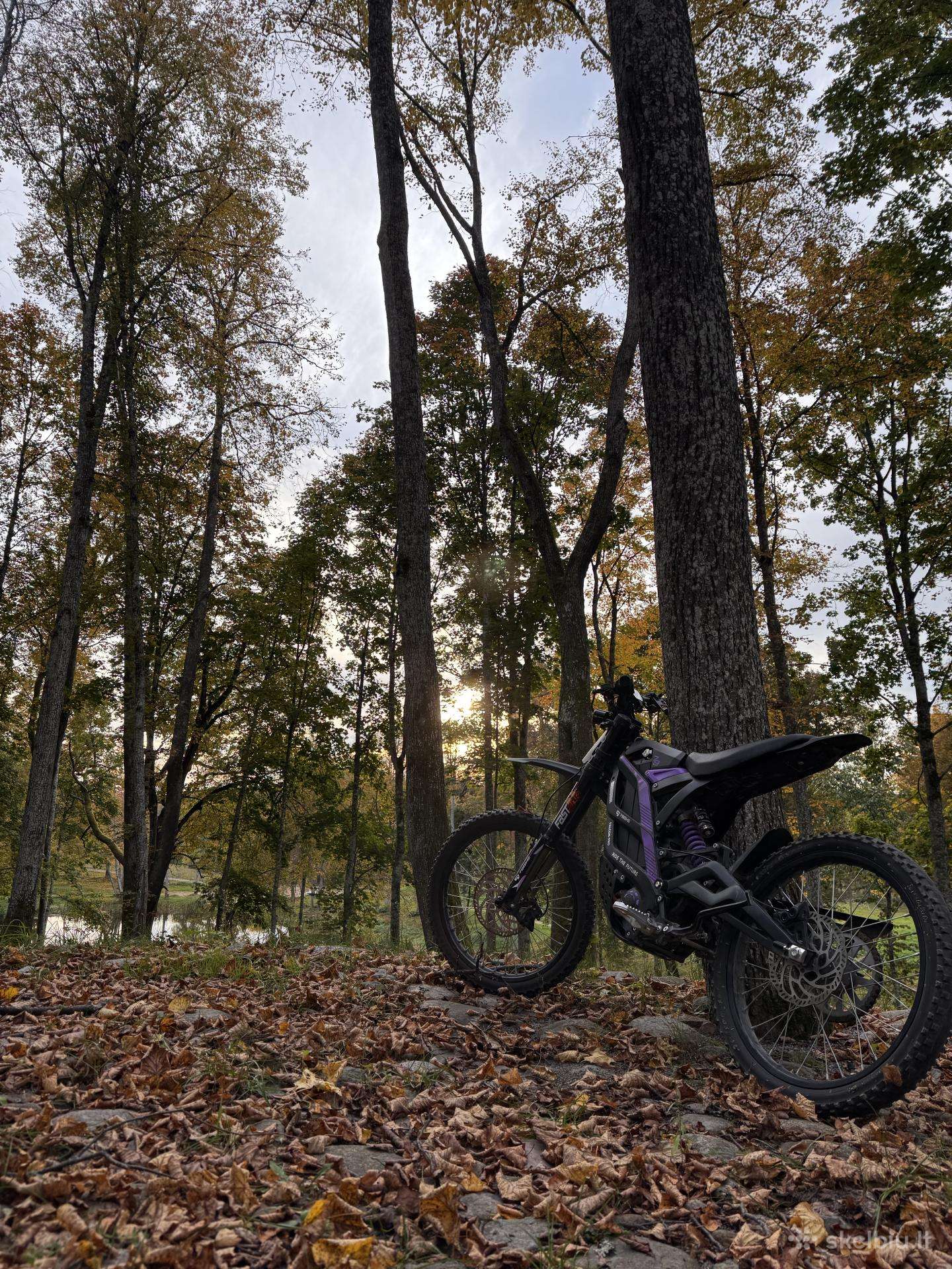 Parduodamas 79bike Falcon Pro (Registruojamas)!