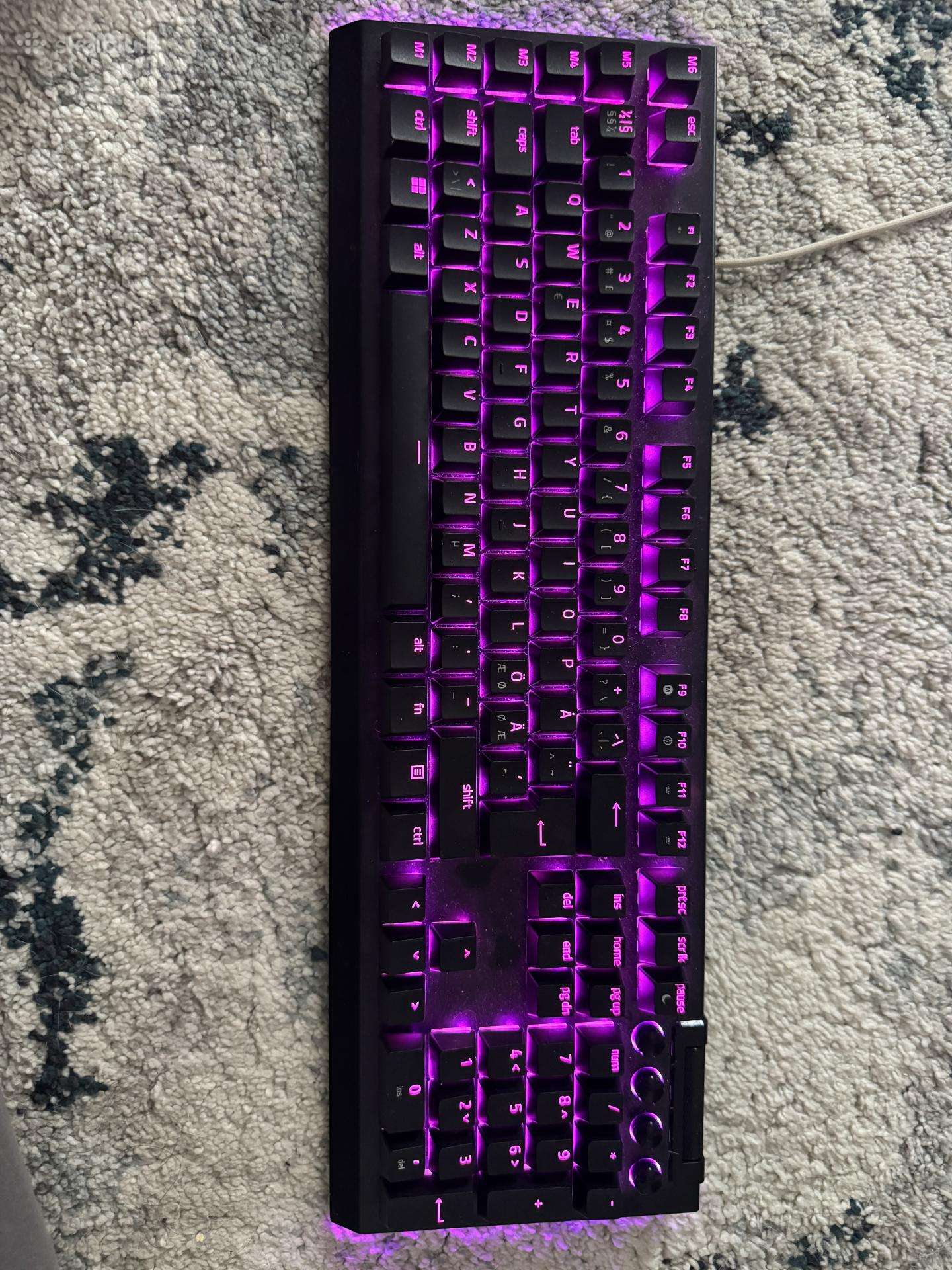 Razer Blackwidow V4 (green switches)