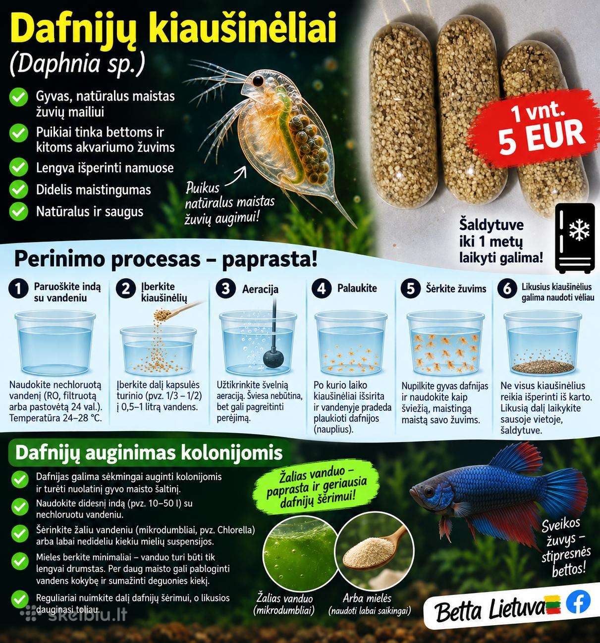 Dafnijų užveisimo tabletės – gyvas maistas žuvims